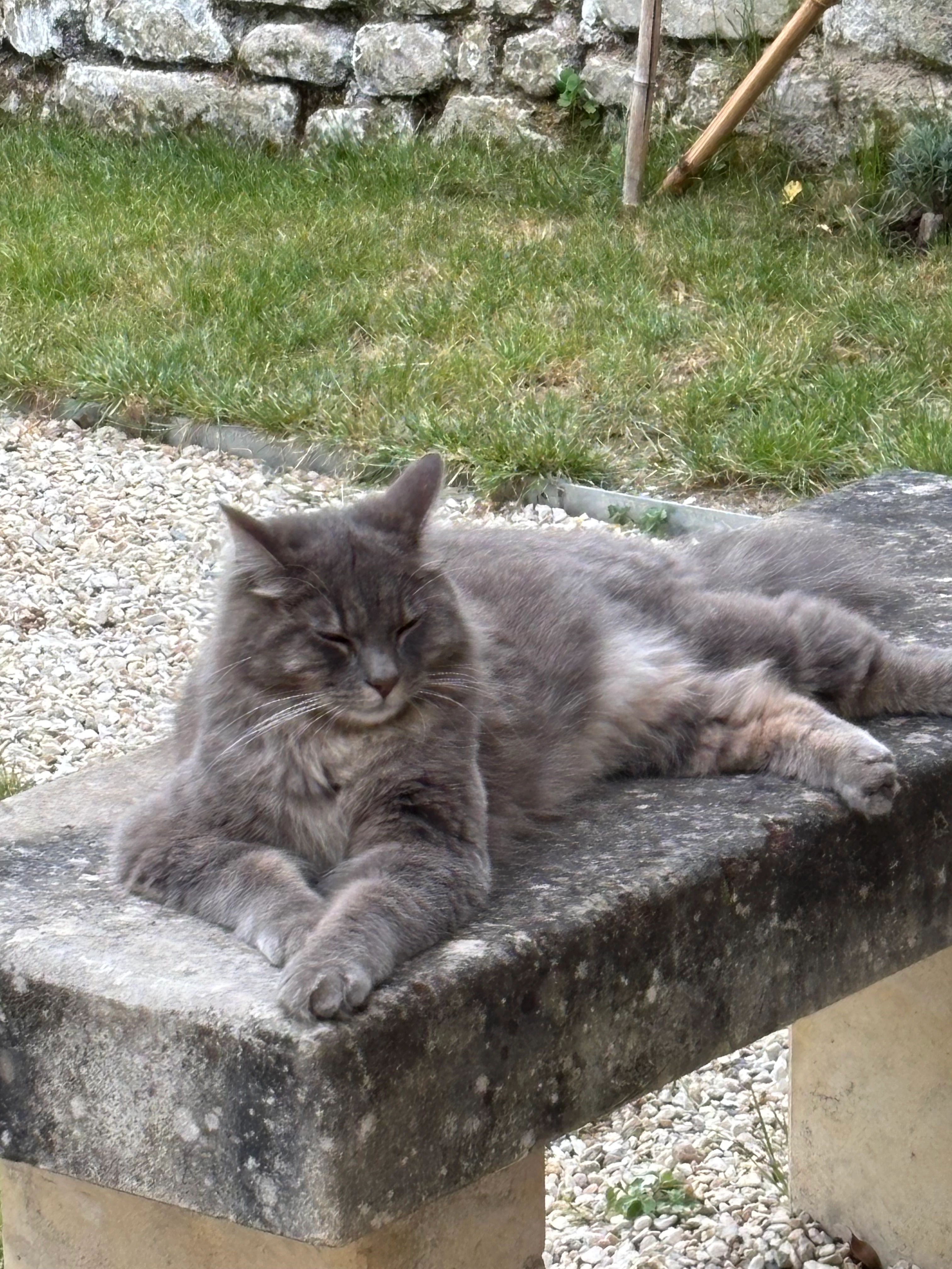 LEONARD - Rue Diderot, Chinon