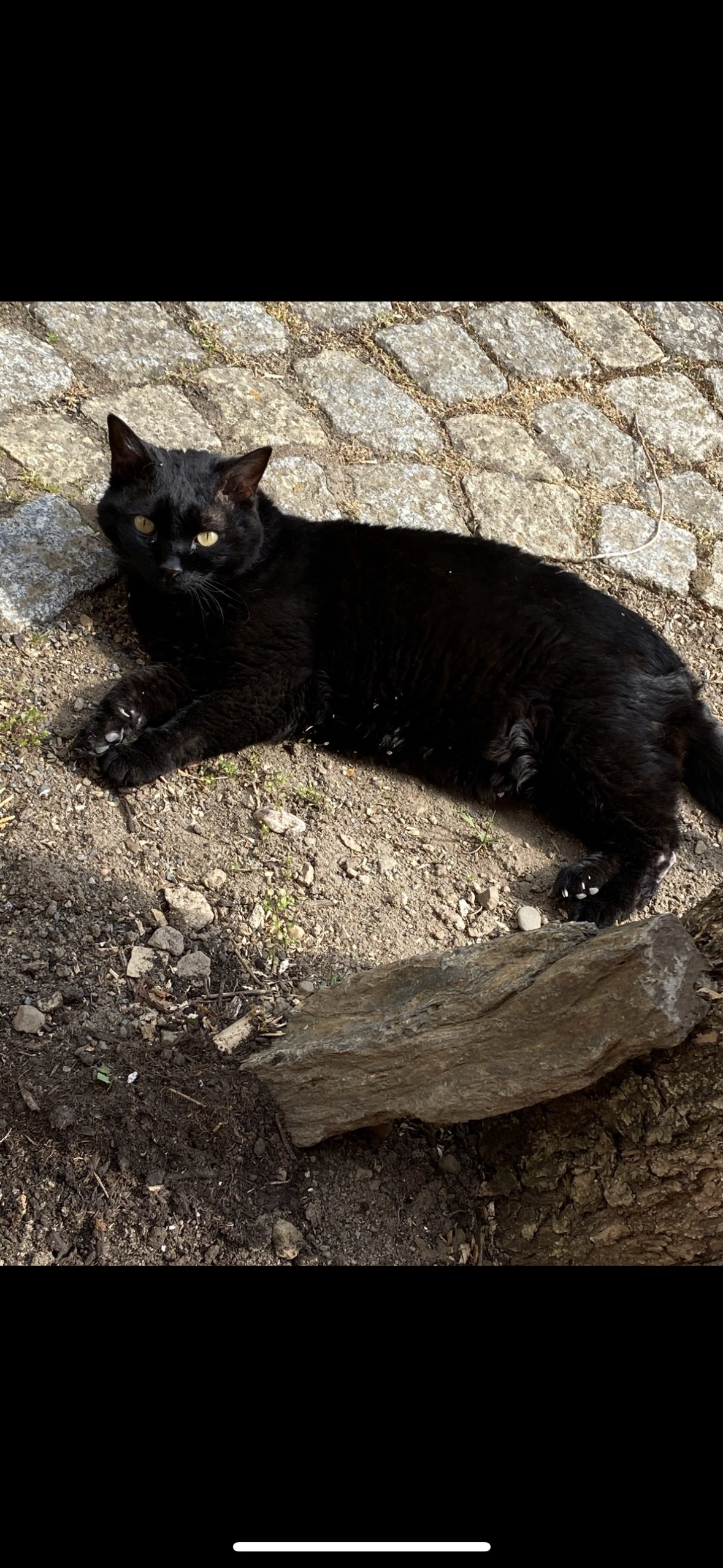 Juli - Frühlingstraße, Gochsheim