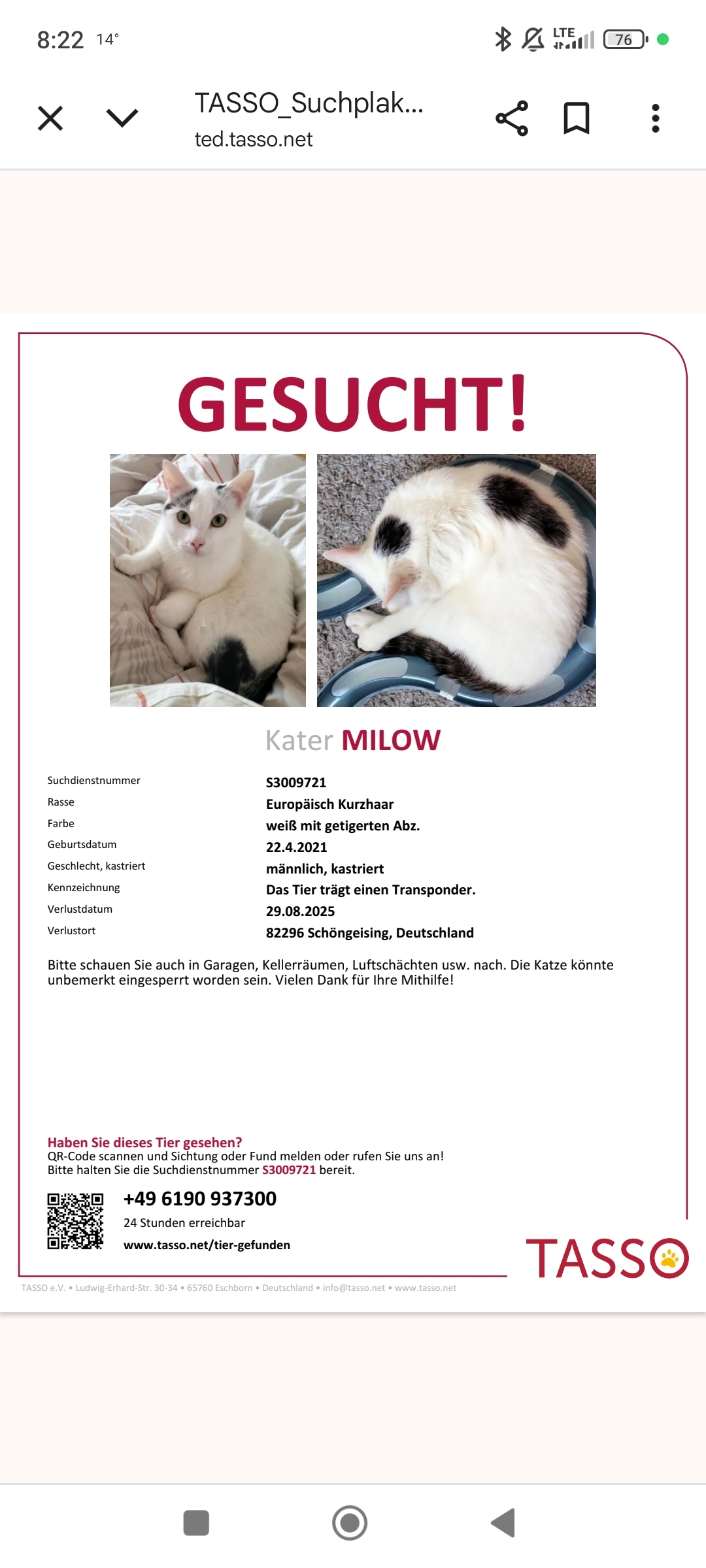 Milow - Kirchstraße, Schöngeising