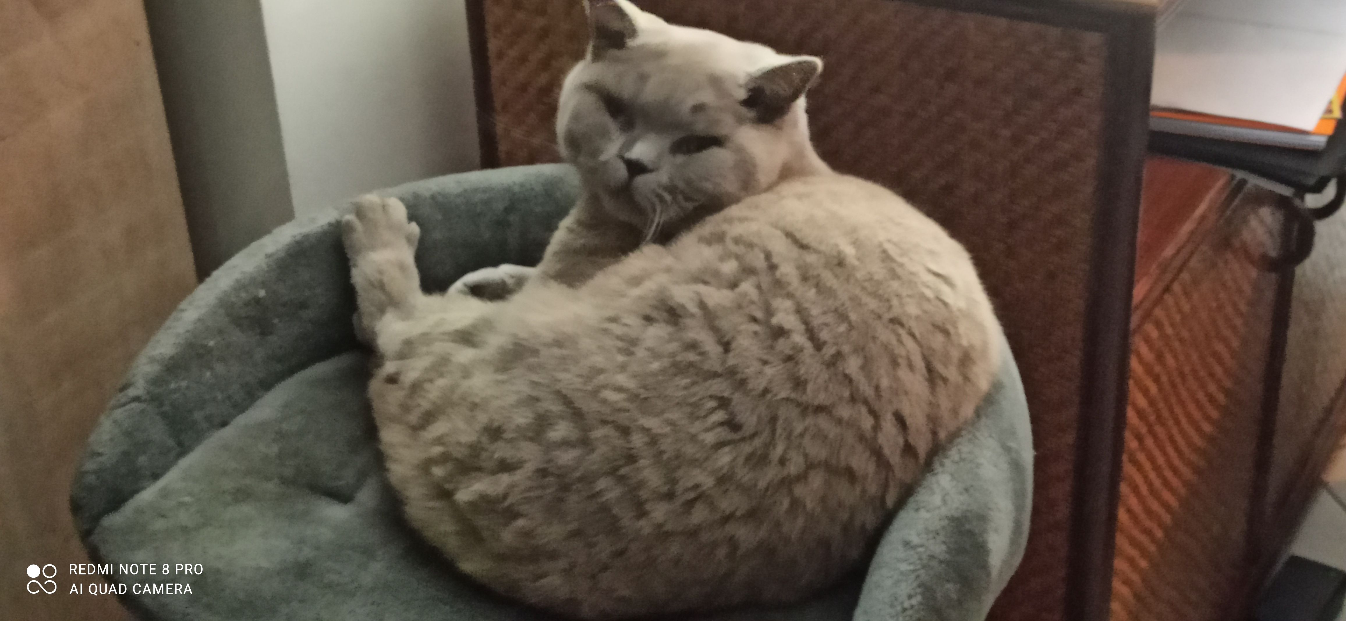 Ulkan - 3 Rue Jean Moulin, Saint-Aubin-le-Dépeint