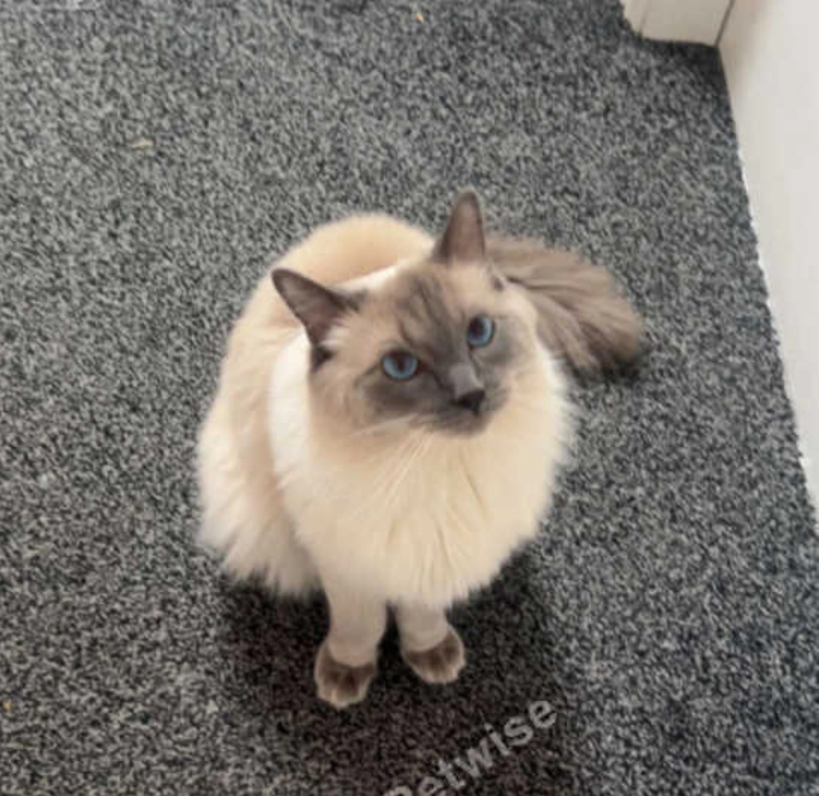 Jude - Princess Street, Newcastle-under-Lyme