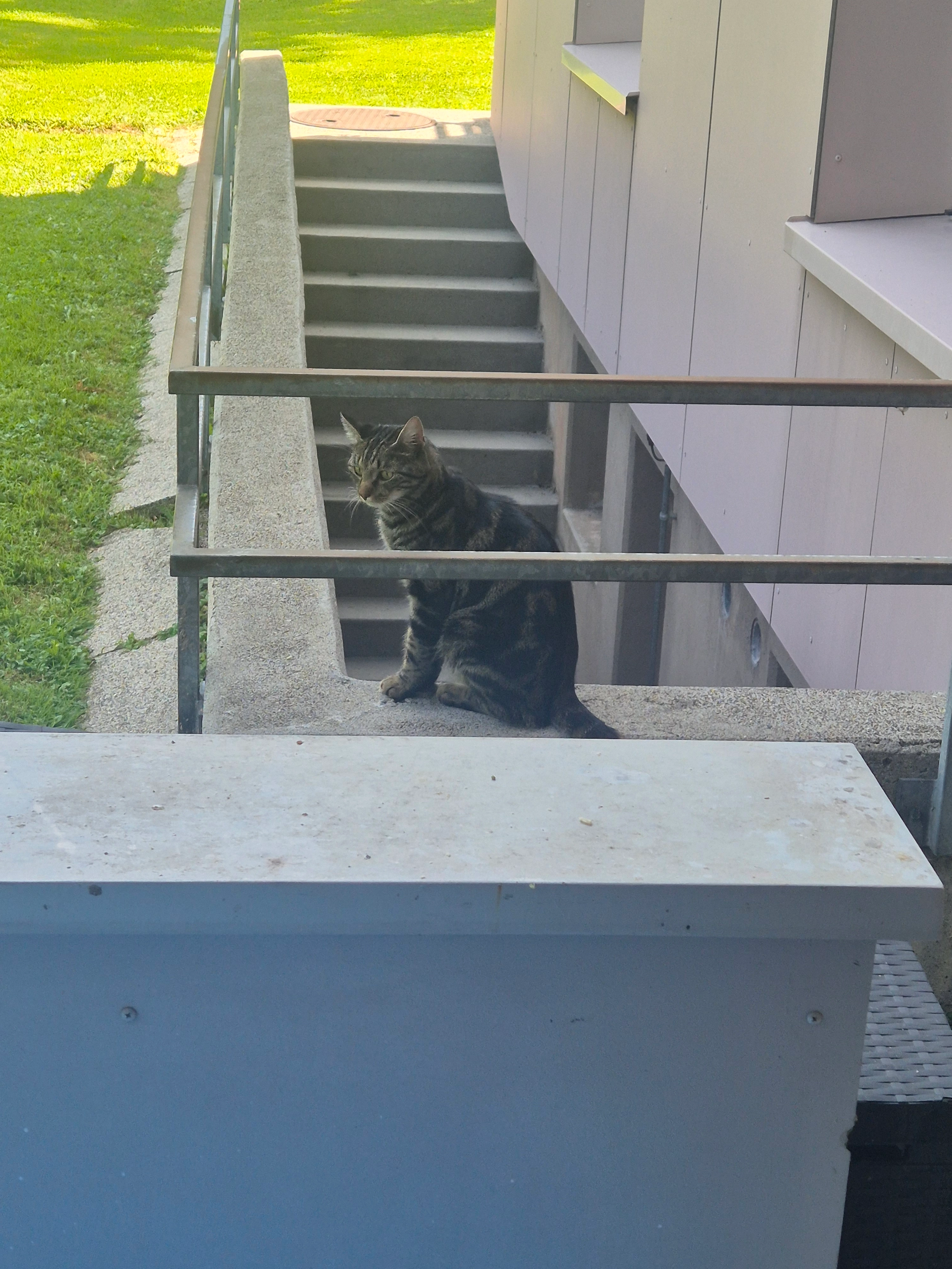 Nilo - Bruggwiesen 5, Wittenbach