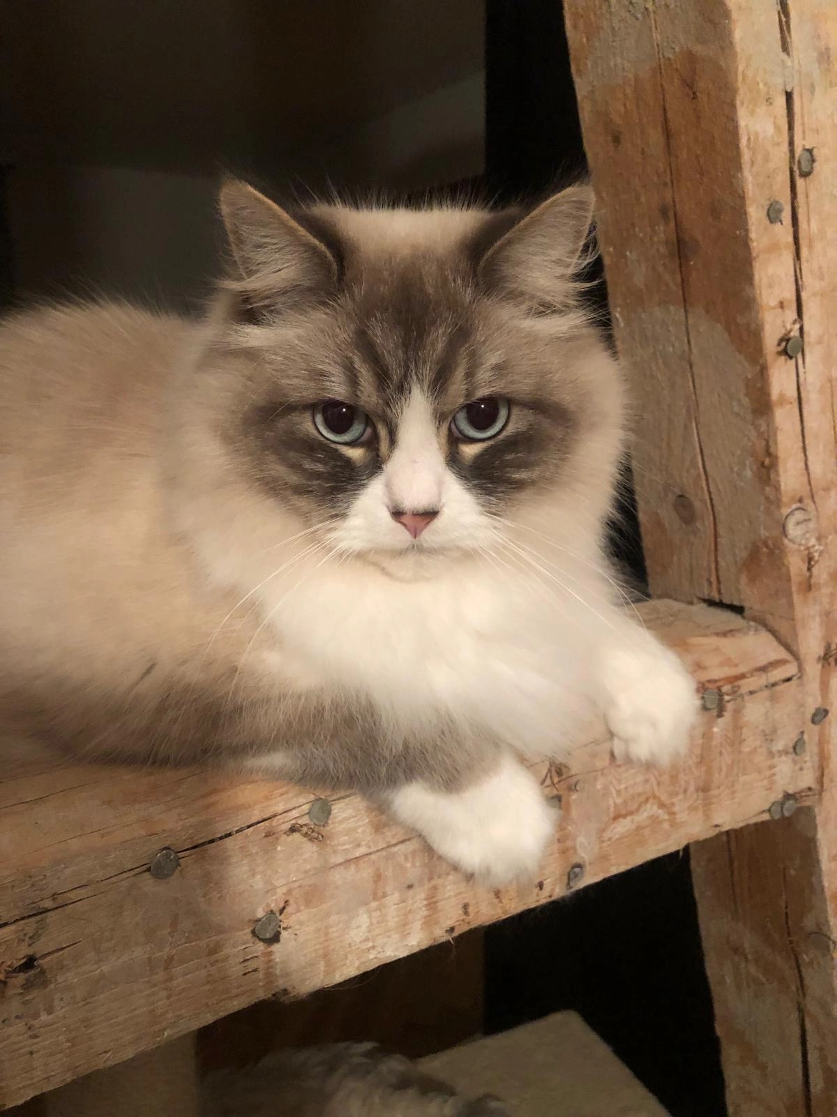 Romeo - Lauterbadstraße, Freudenstadt