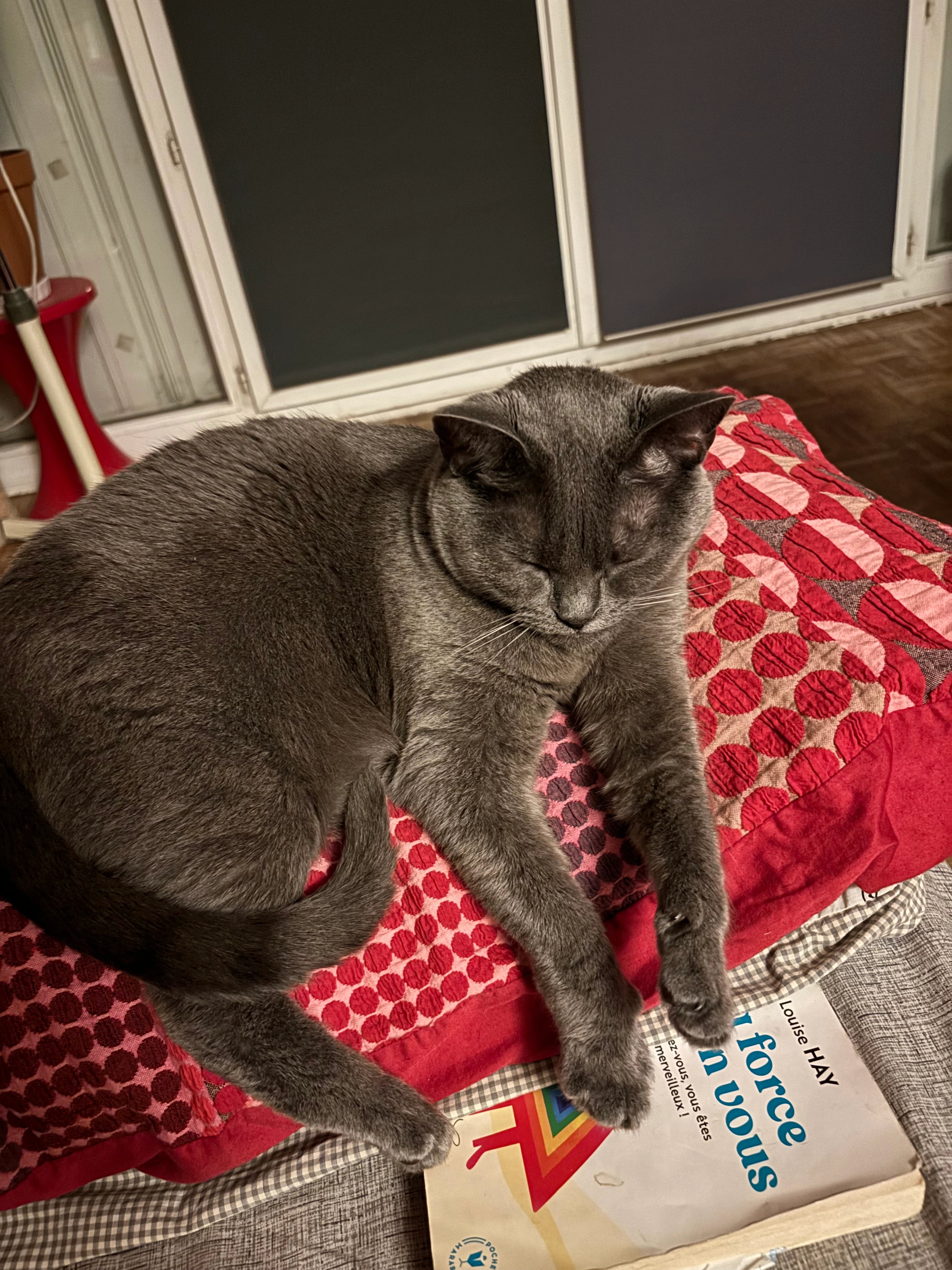 Olimpia  - Veneux-les-Sablons, Moret-Loing-et-Orvanne