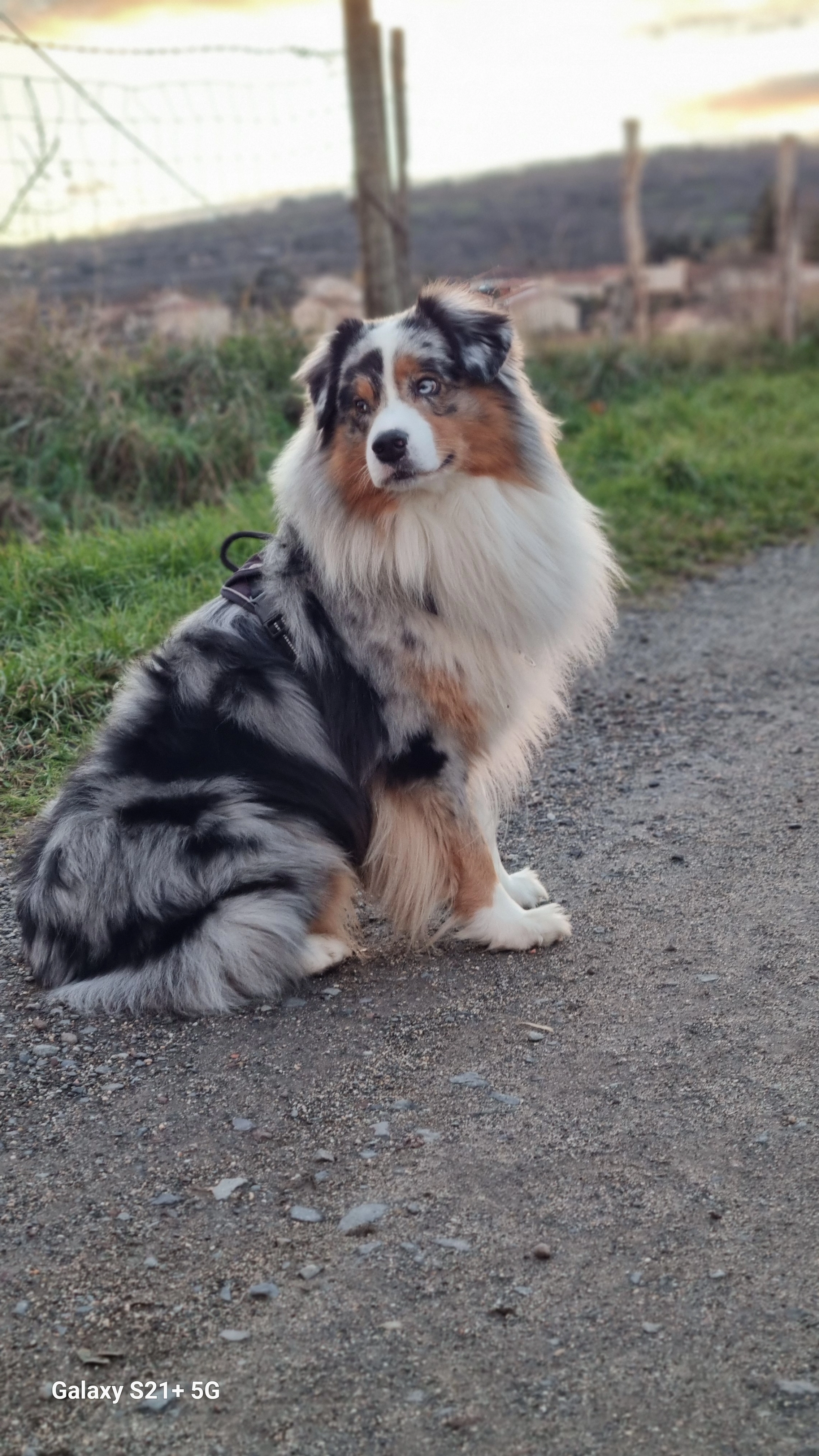Maïdo  - La Rousselière, Les Sables-d'Olonne