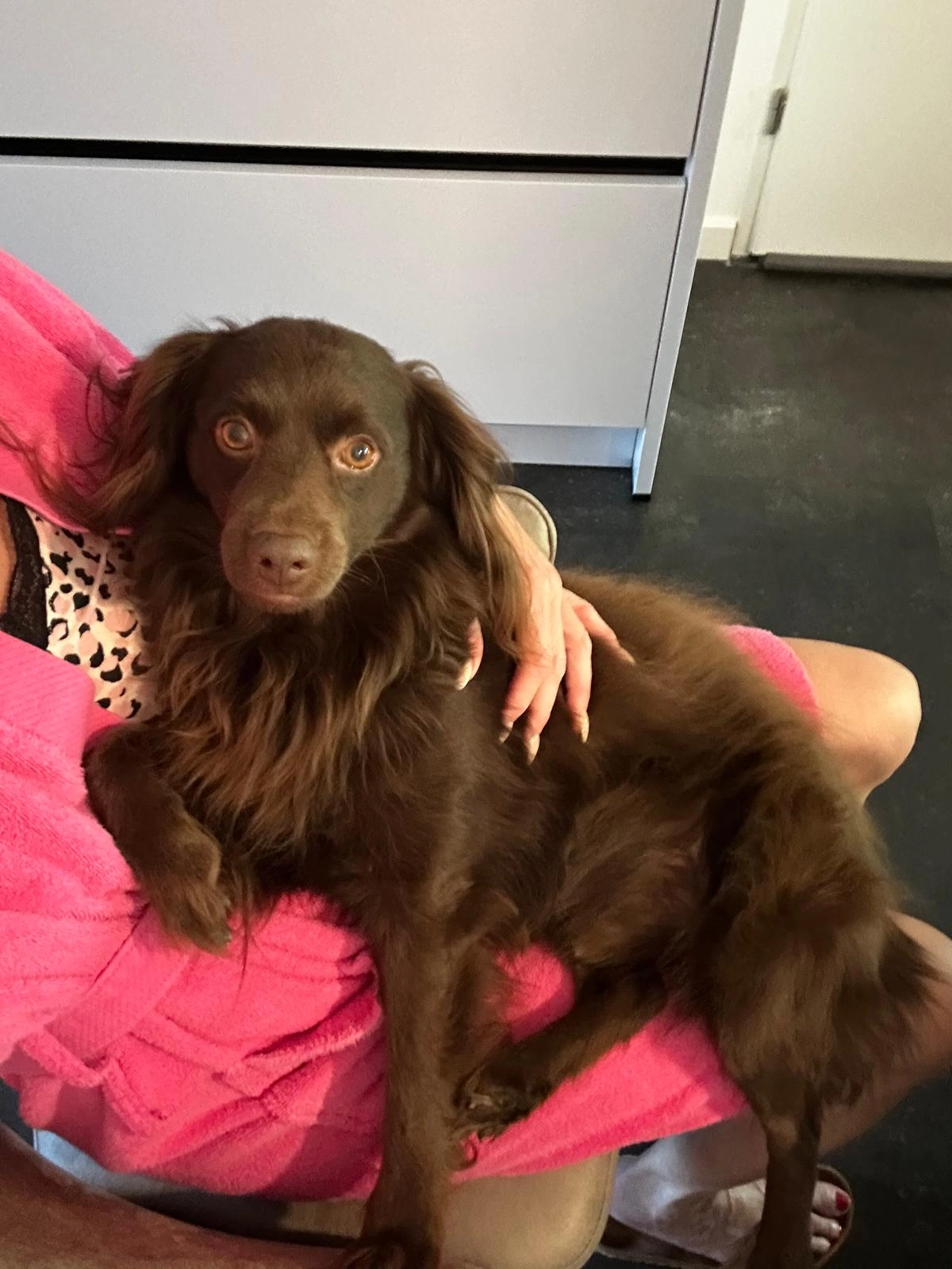 Kees - De Diagonaal, Almere