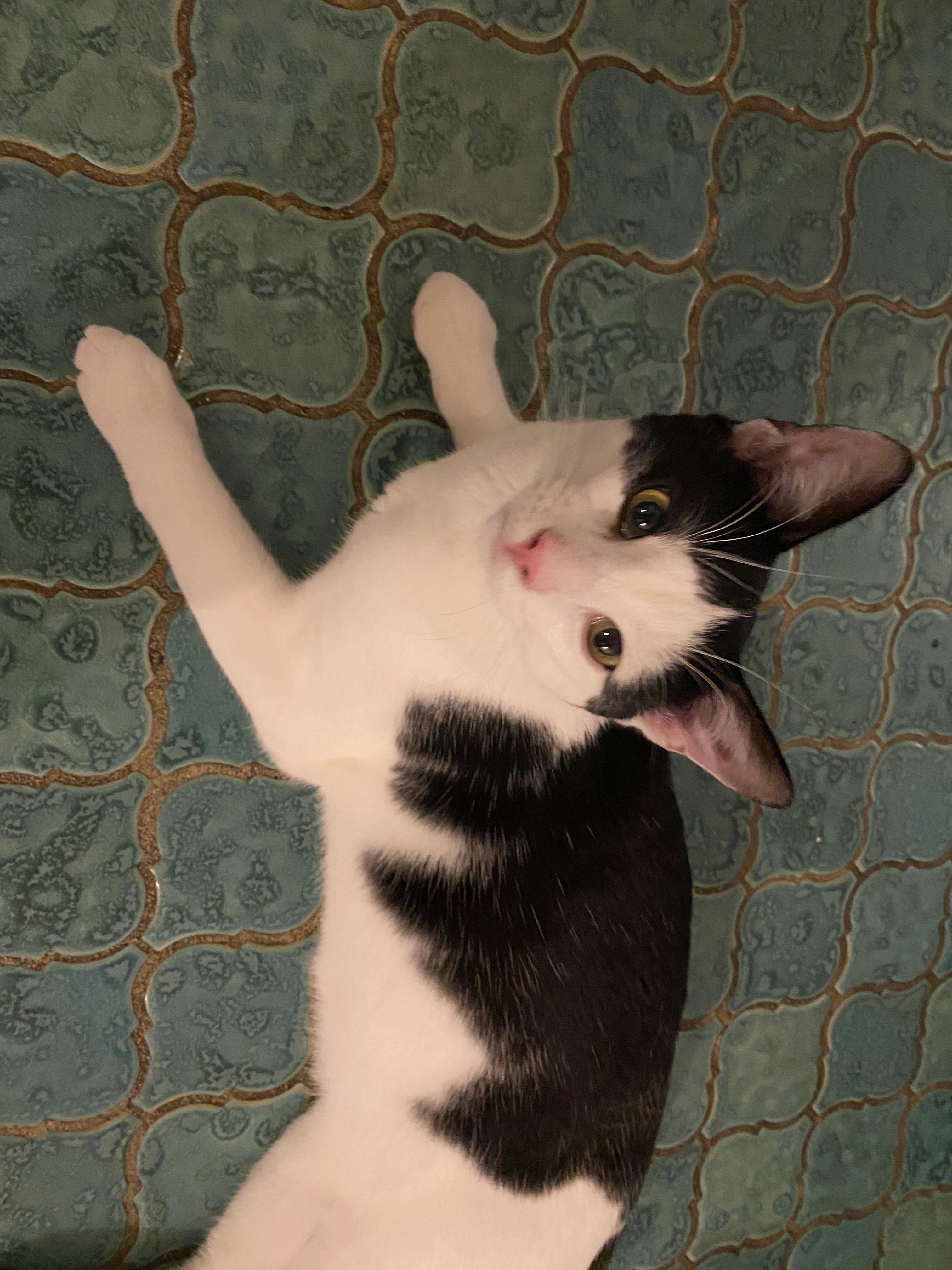 Miles - Buhlenweg, Konstanz