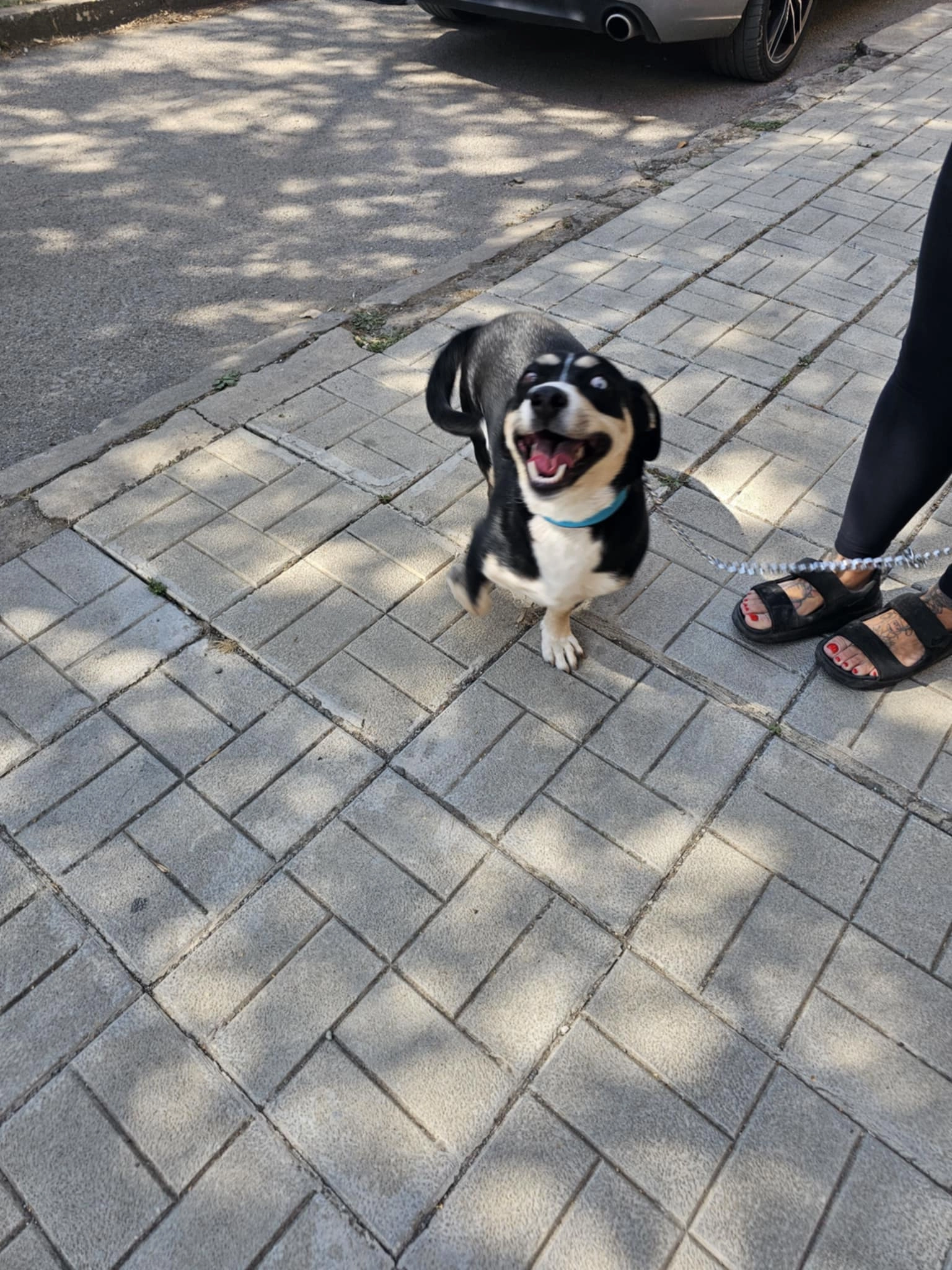 Beni - Sichelbach, Kirchstetten