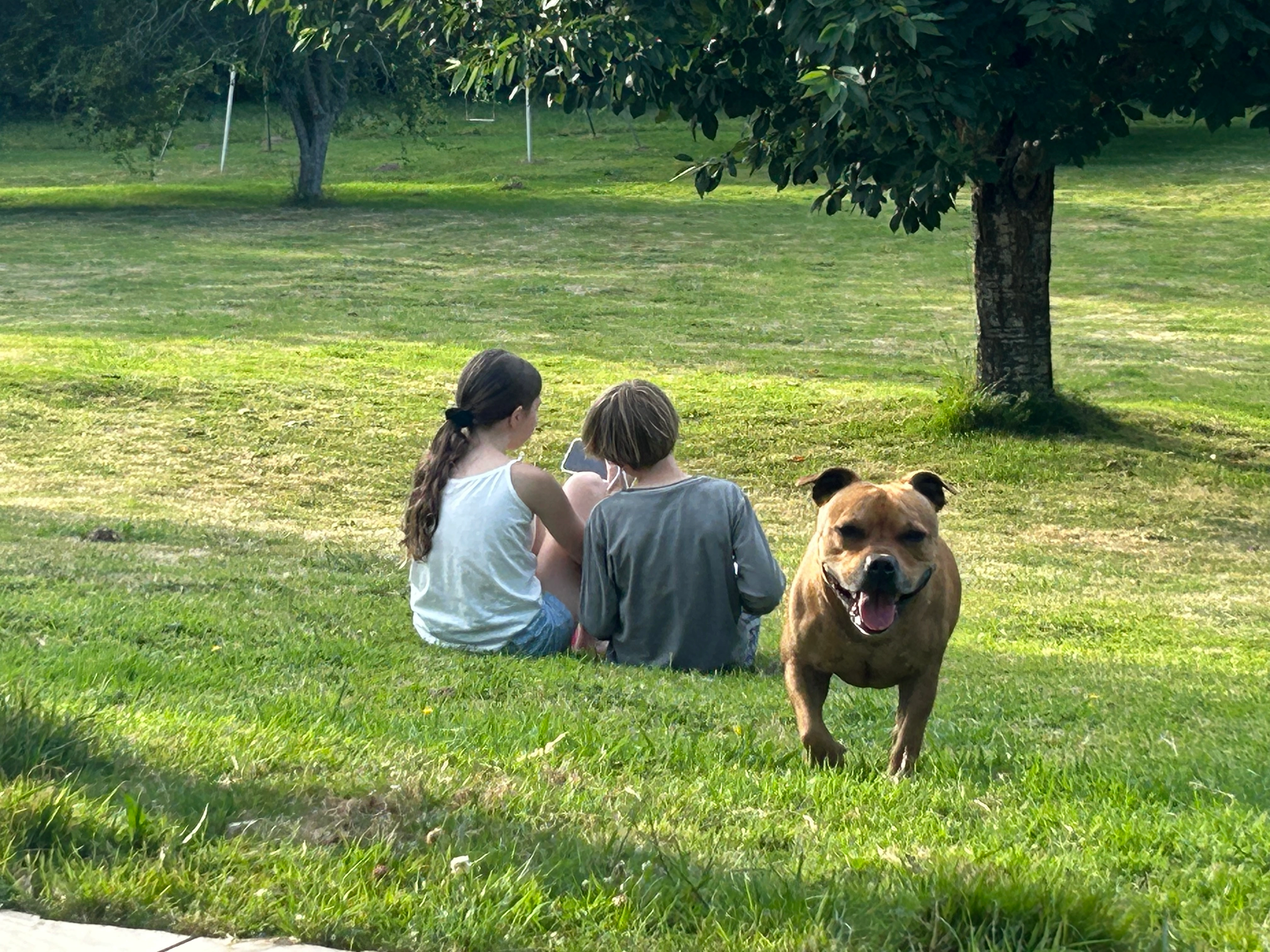 Rambo  - 21 Rue du Divit, Ploemeur