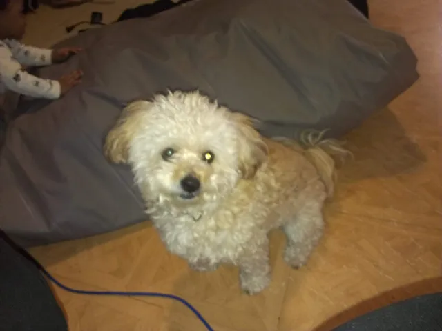 Howie - McGinley Ave, Antioch