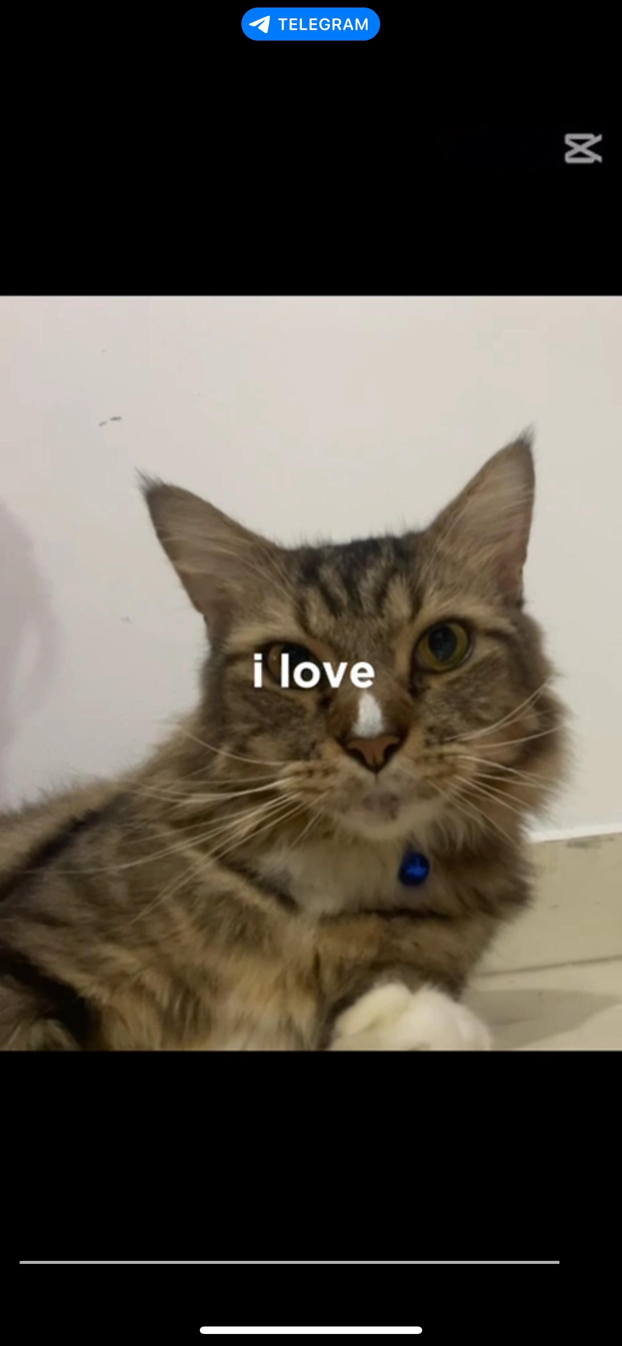 Leo - 680550, Singapore