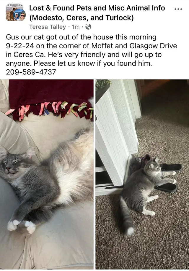 Gus - 2520 Glasgow Dr, Ceres