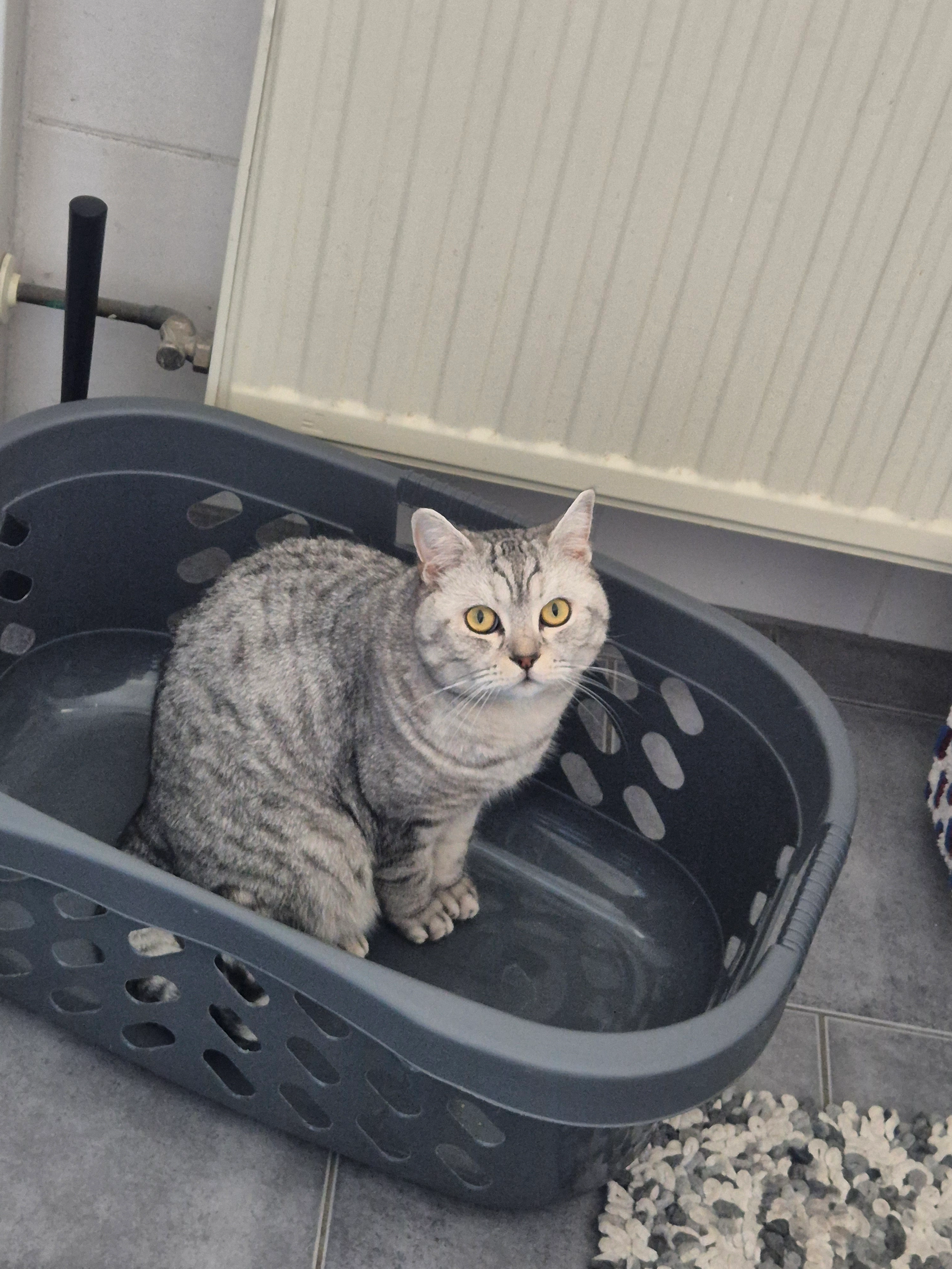 Mailo - Bischofsleite, Knetzgau