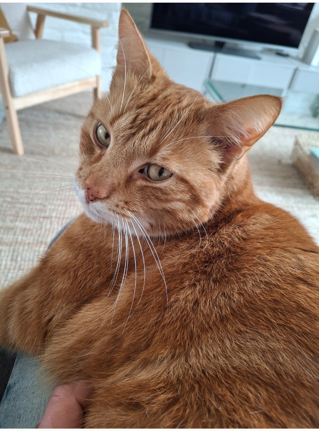 Beertje - Waakgaardenstraat, Eibergen