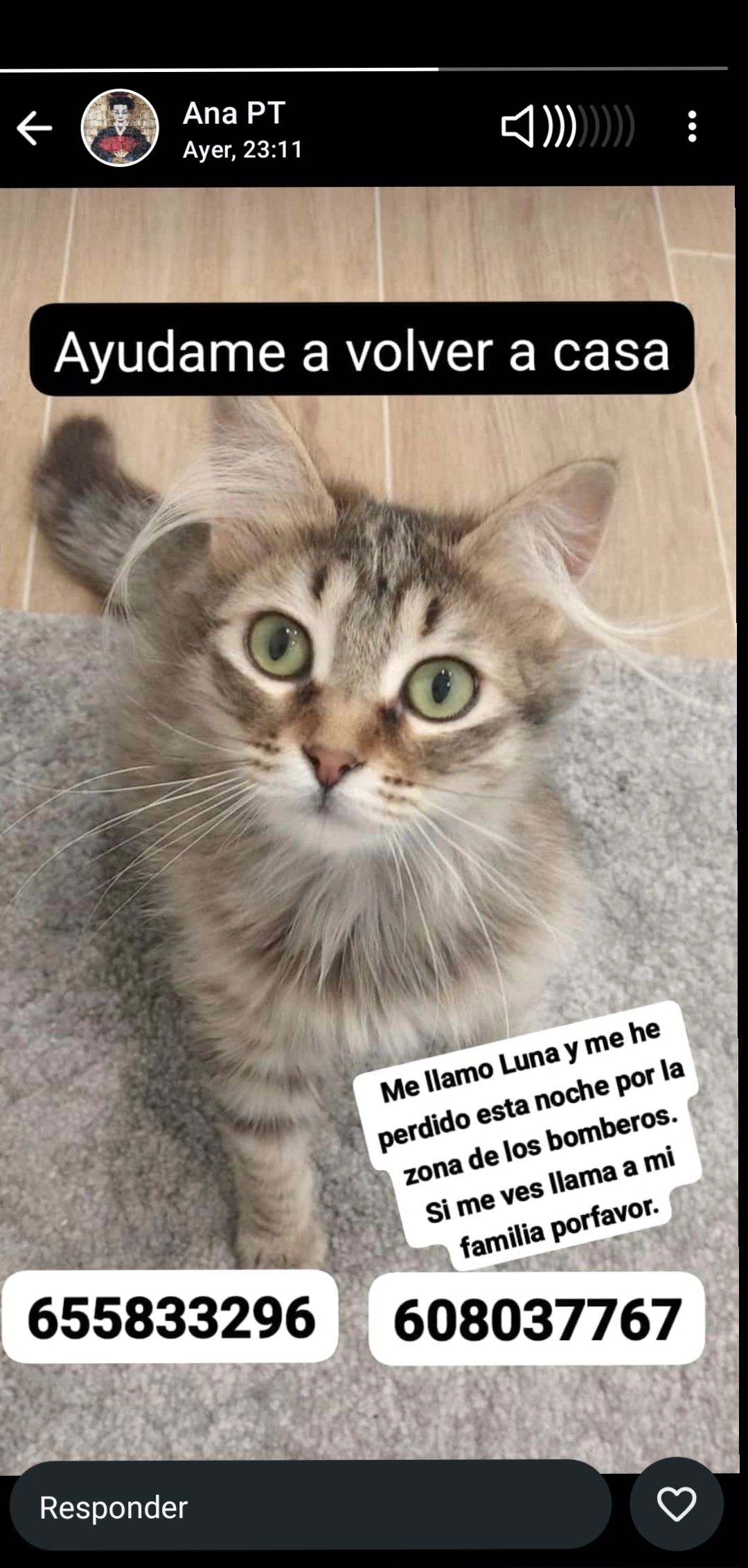 Luna - Calle de León 8, Soria