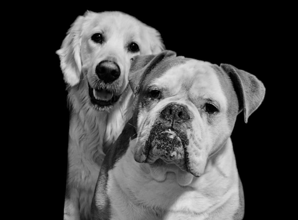 Stoffel - Bovenburen, Winschoten