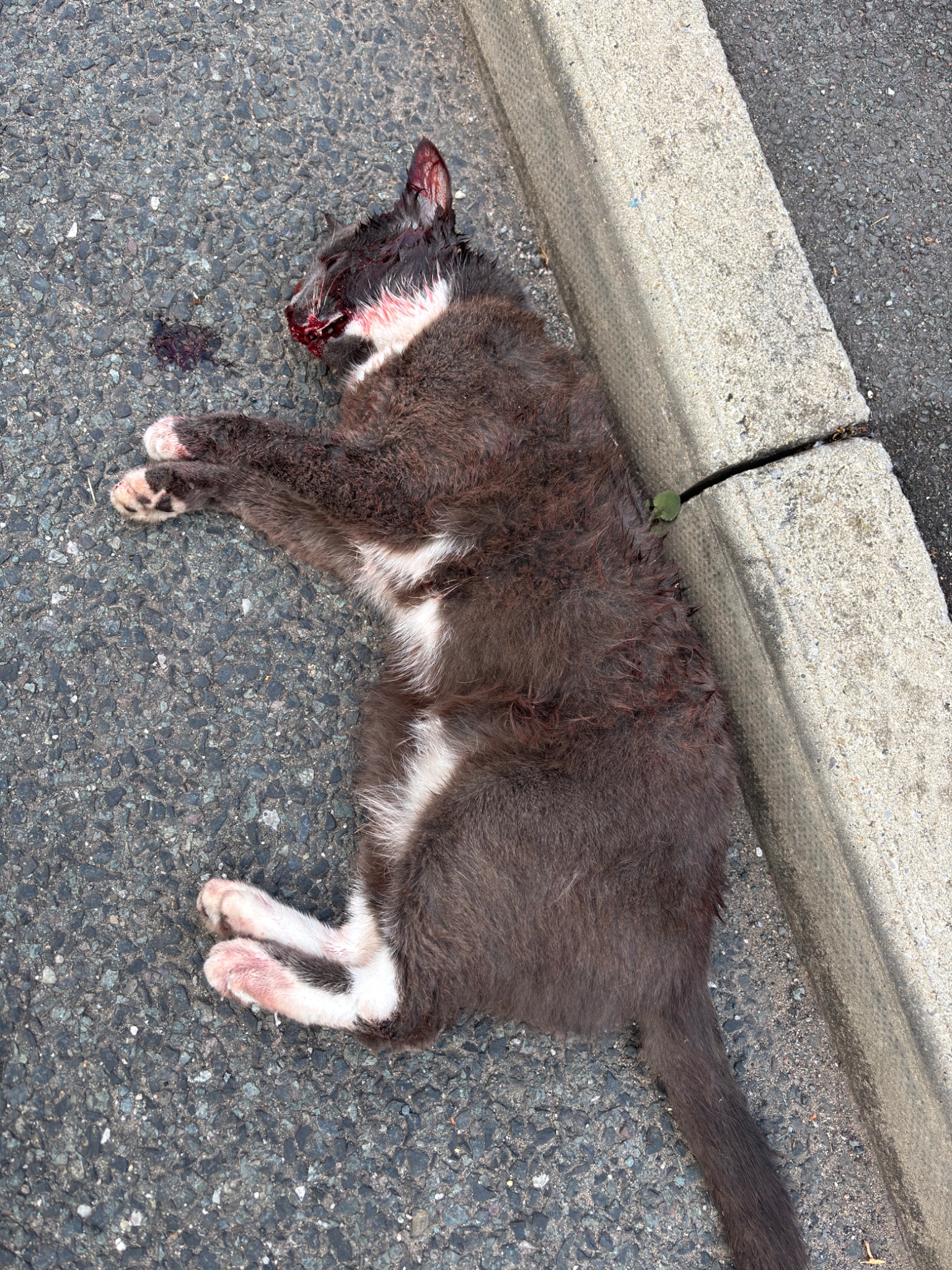 Unknown - Loeminster Place, Wigan