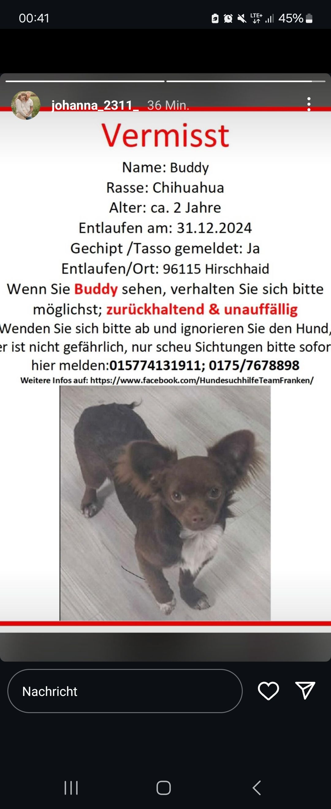 Buddy - Am Haag, Hirschaid