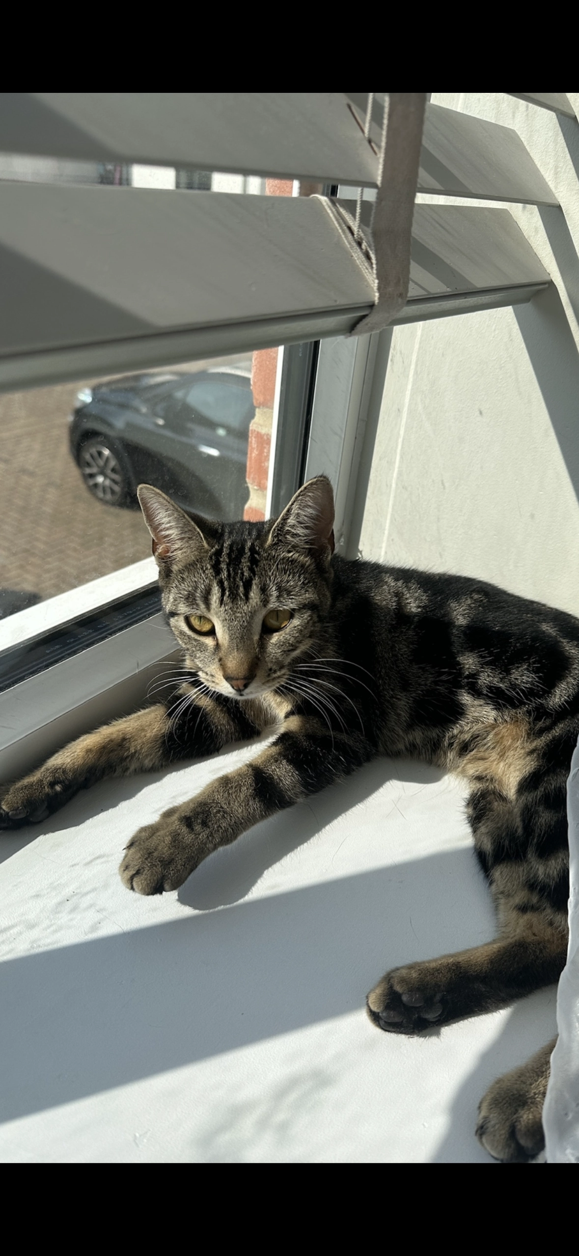 Challa - SS2 6, Southend-on-Sea