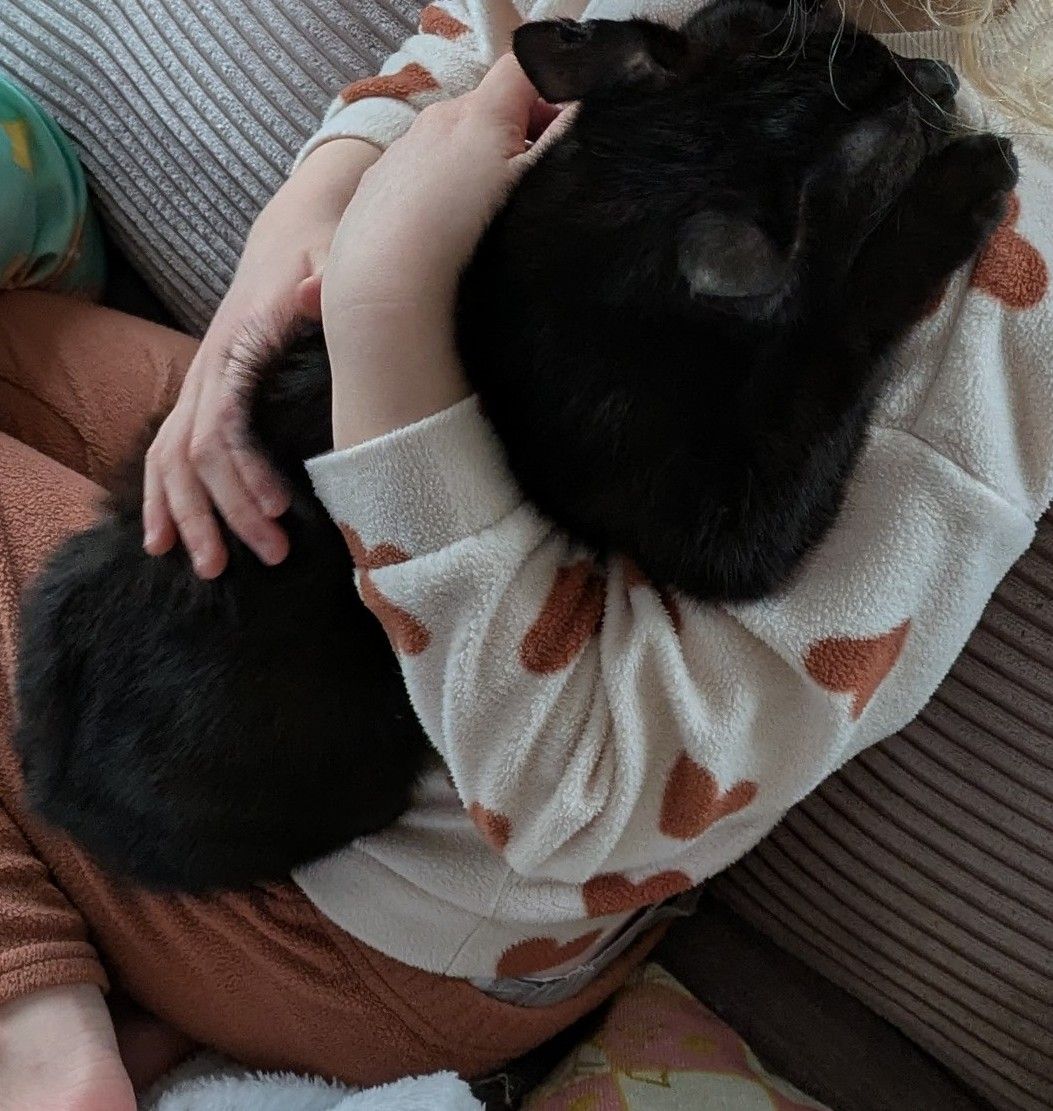 Moon - 2 rue de Saintines , Verberie