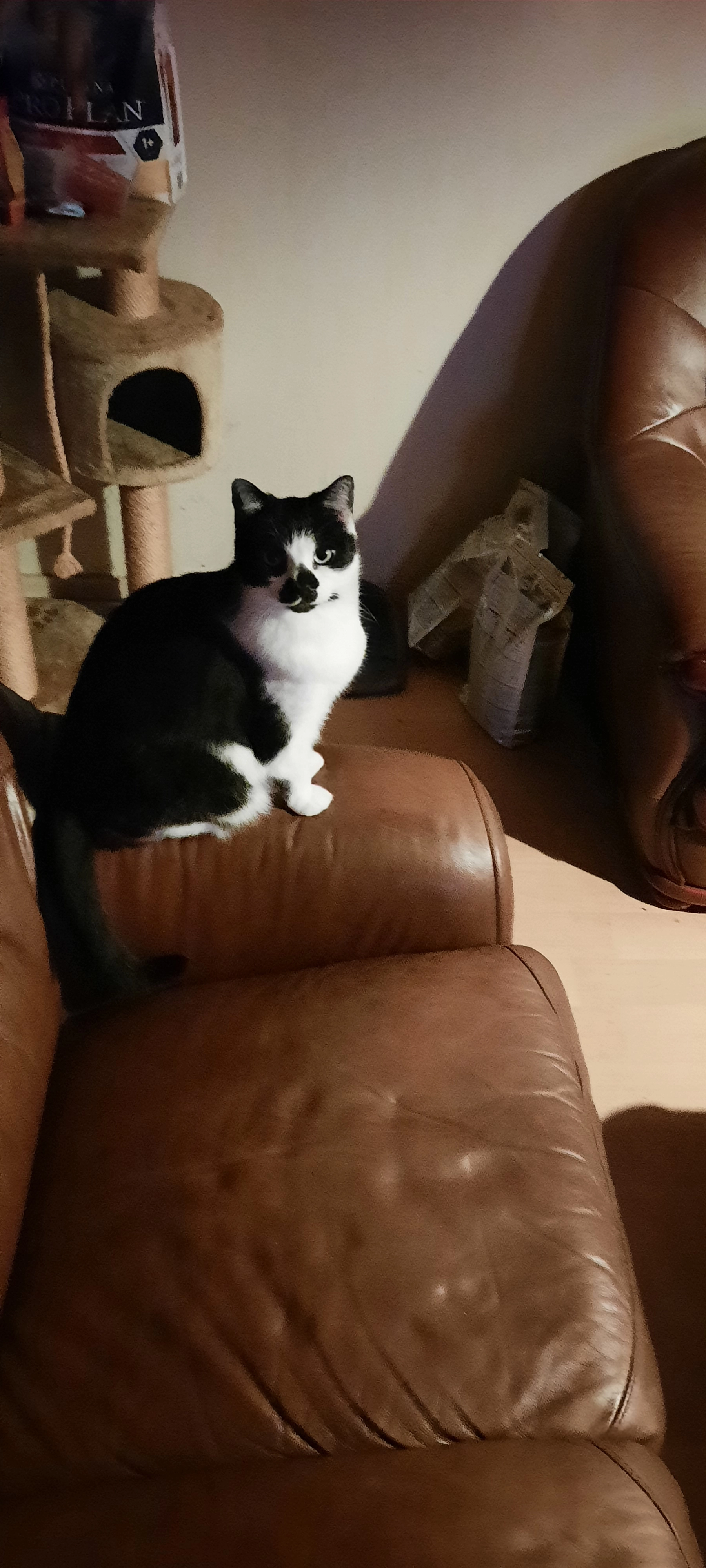 Kitty - Rustenburgstraat, Middelburg