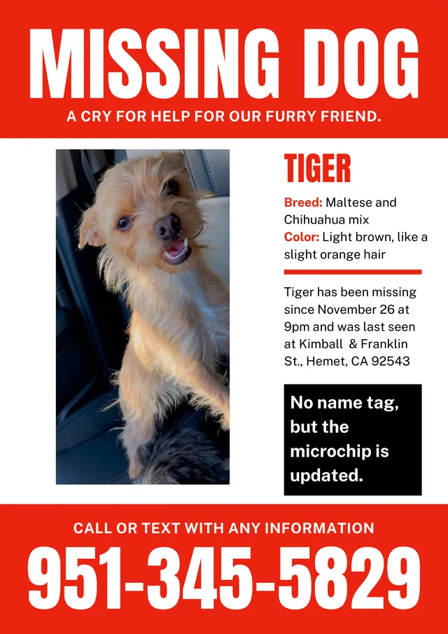 Tiger - Kimball Ave W, Hemet