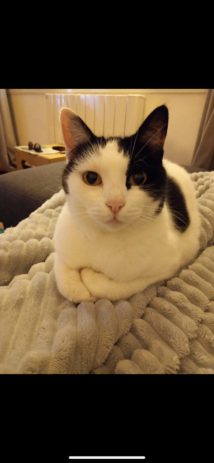 Filou - Voie Rouge Queuvre, Bréhan