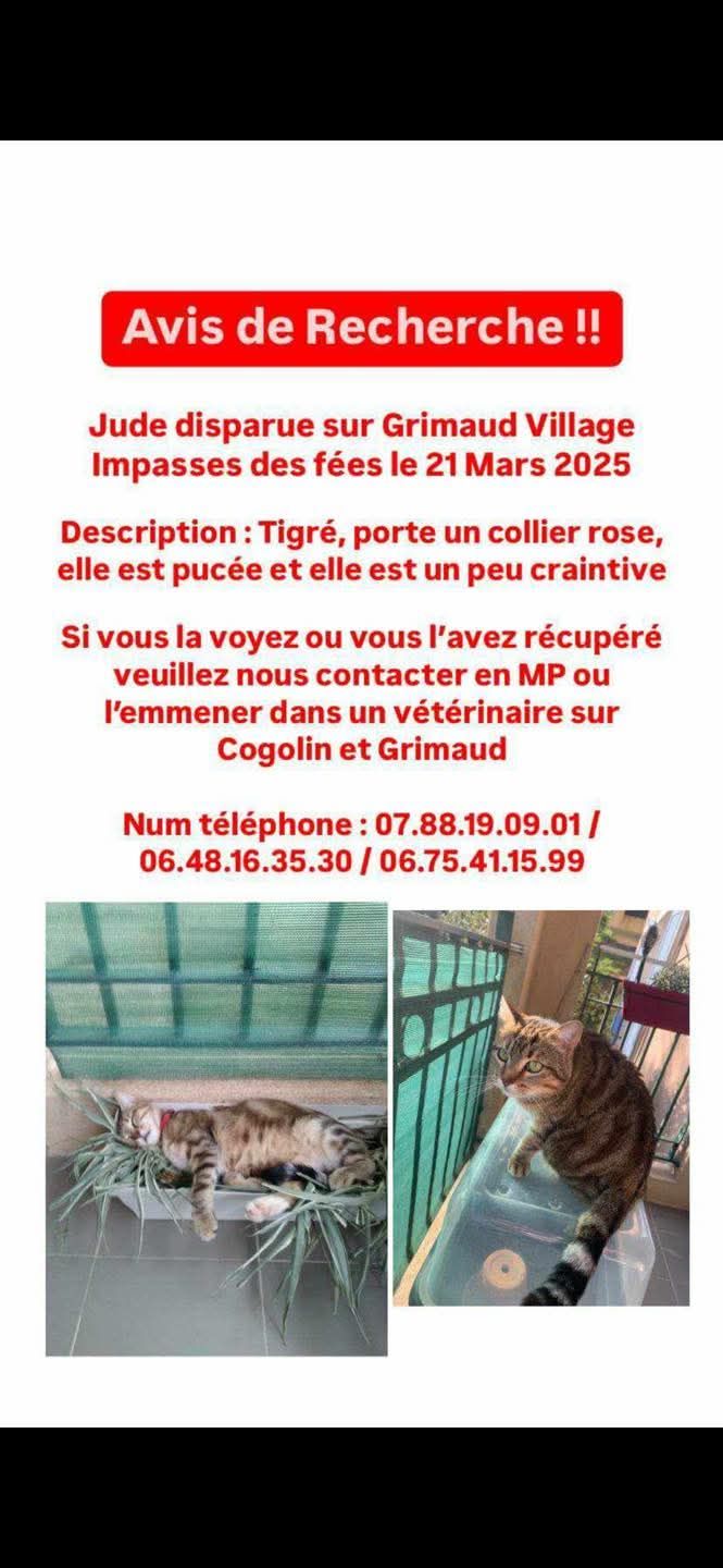 Jude - Impasse des Fées, Grimaud