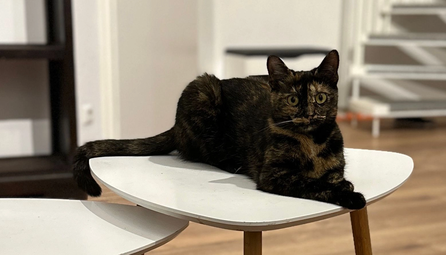 Isis - Am Ziehgraben 40, Frankfurt am Main