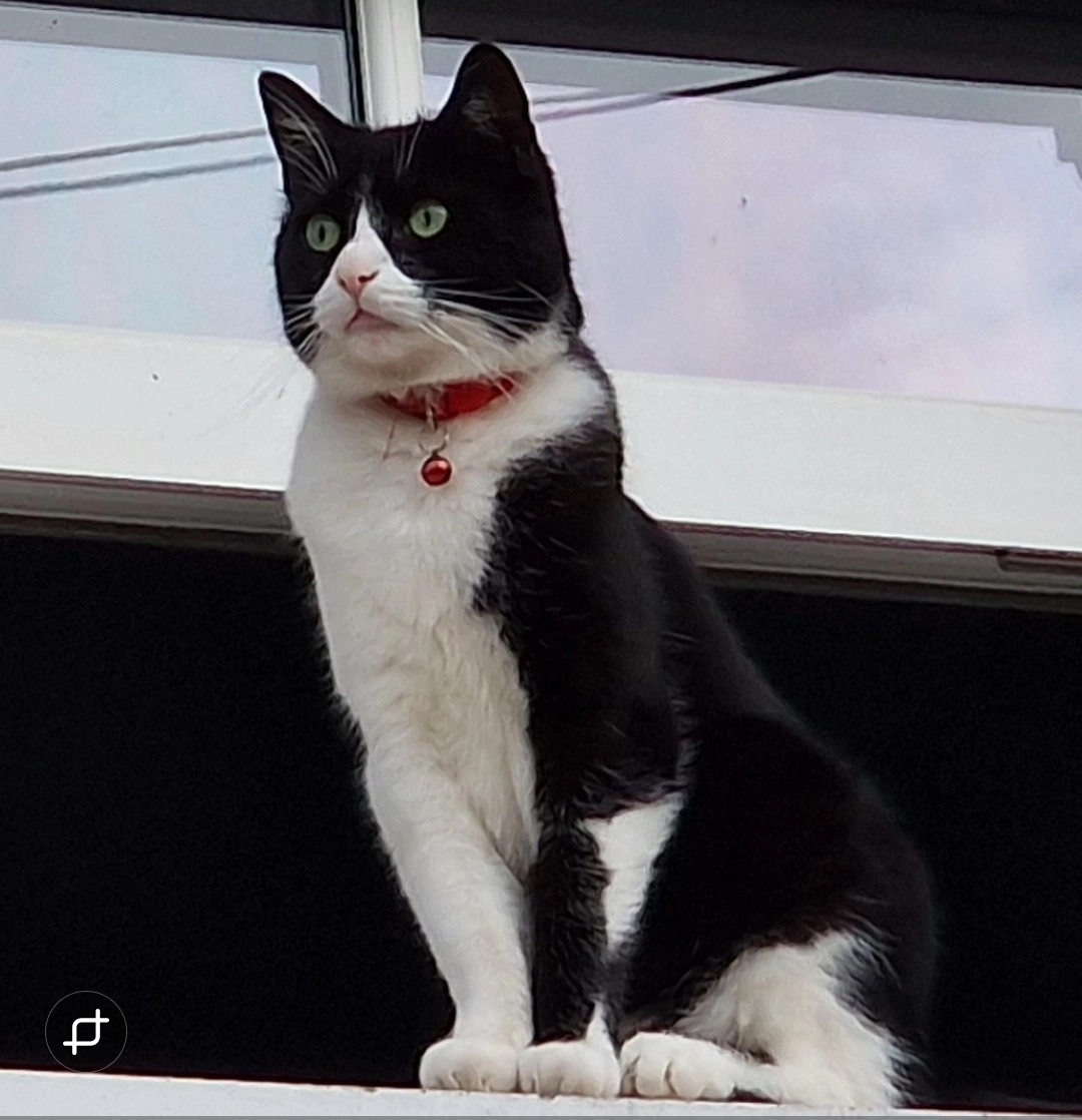 Stampy - Newtown Road, Newbury