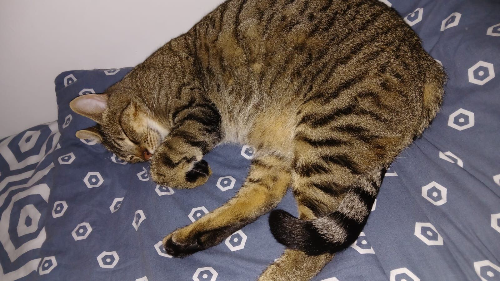 Fuly - 14 Rue du Velay, Saint-Étienne-du-Rouvray