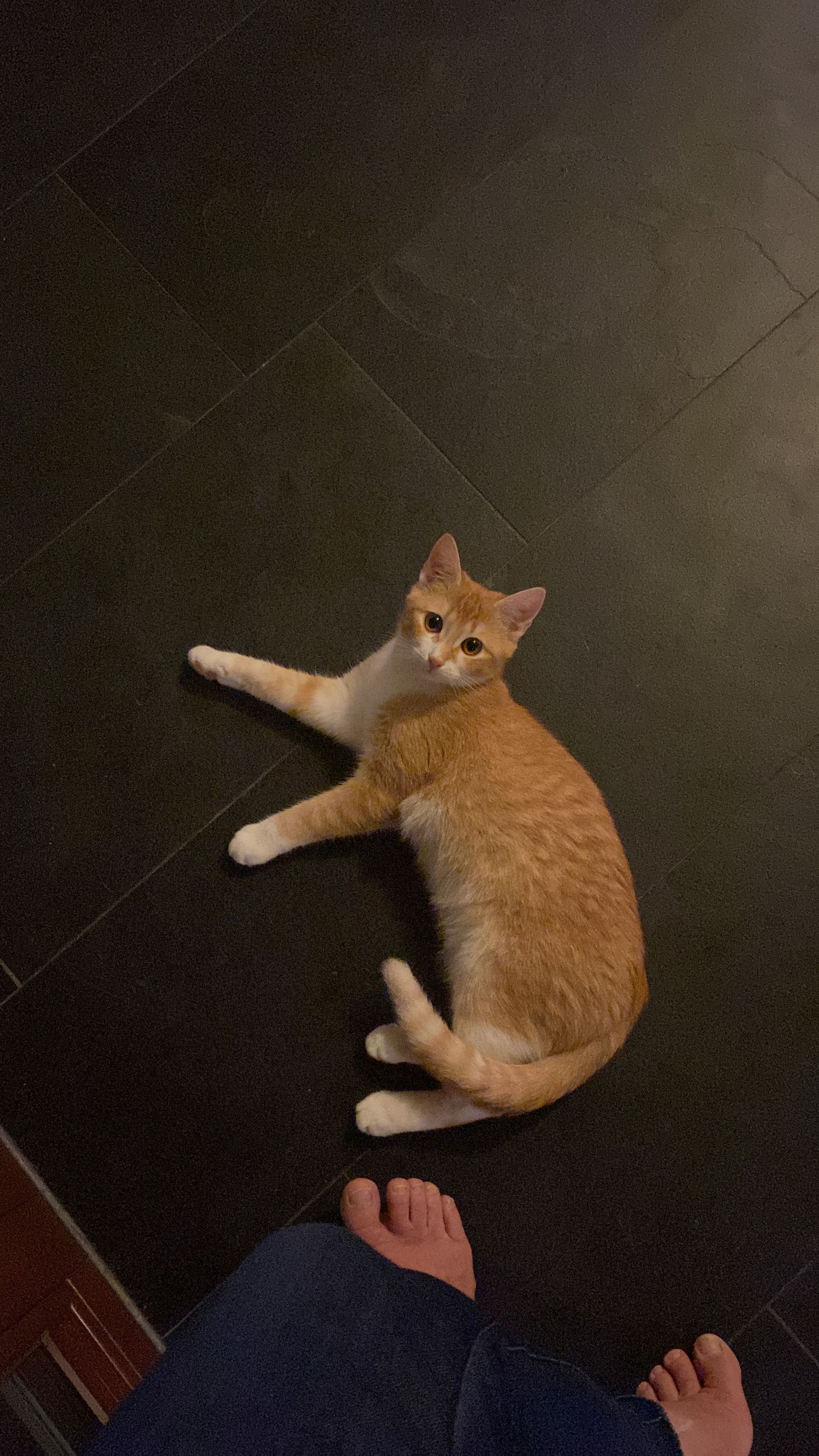 Leo - K 7569, Eberhardzell