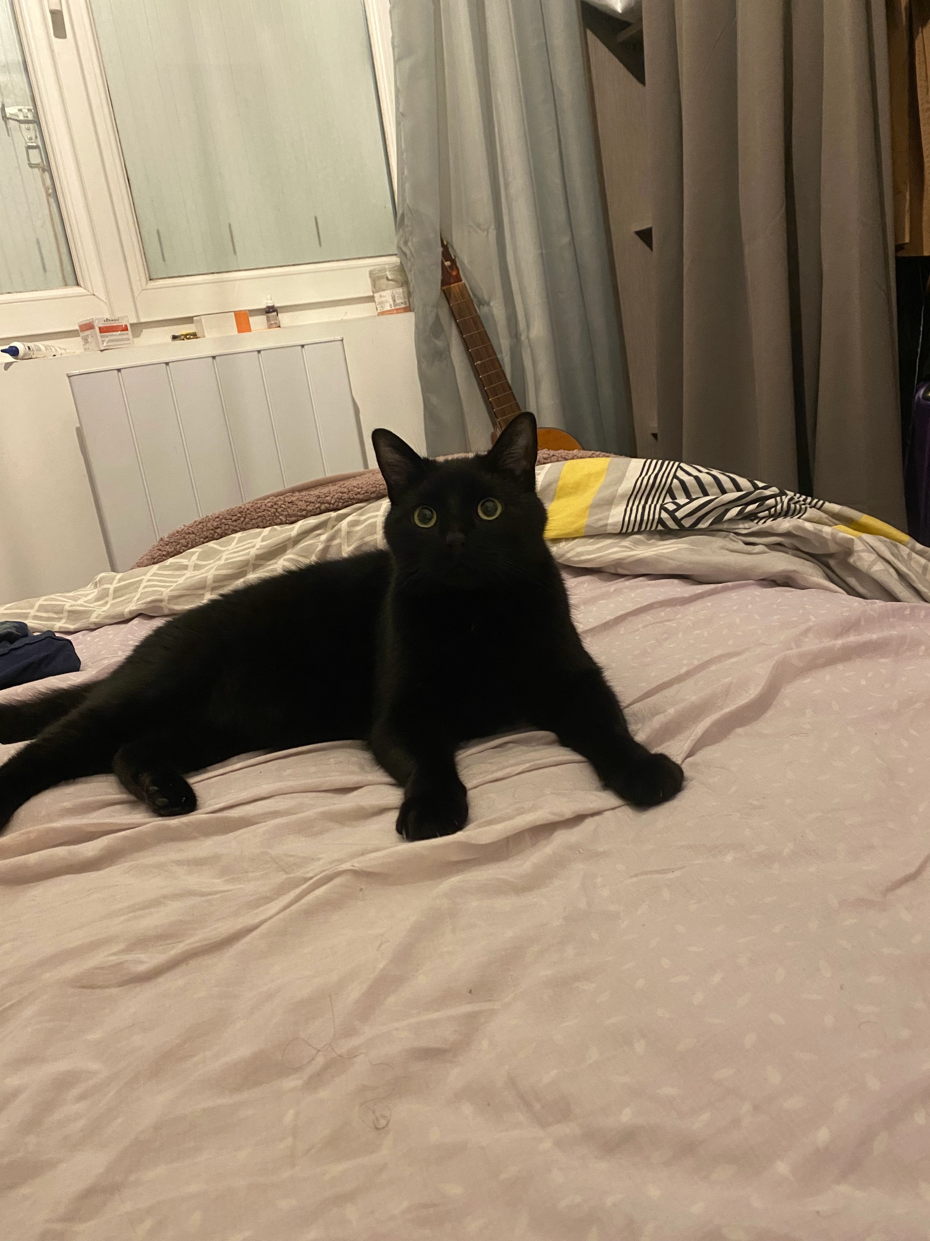 Grogu  - Chemin De La Bretonnière, Nantes