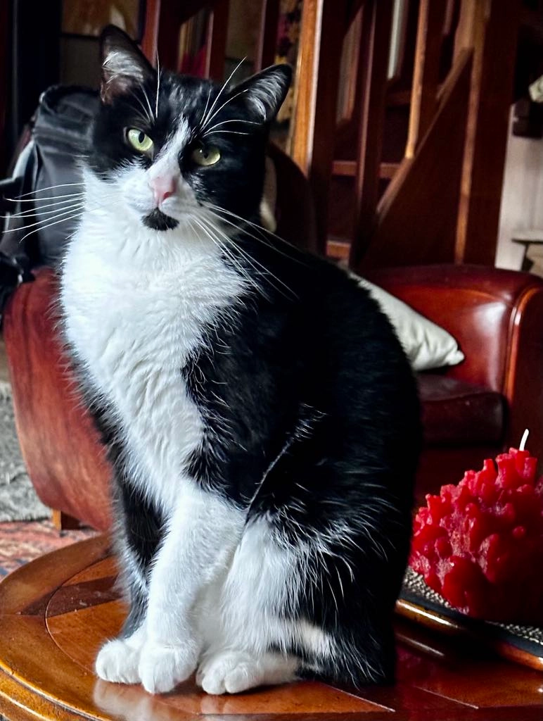 Toscane - Rue Pierre Curie, Dammarie-les-Lys