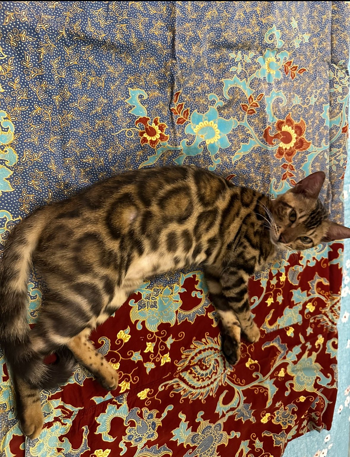 Ggie - 48300, Rawang