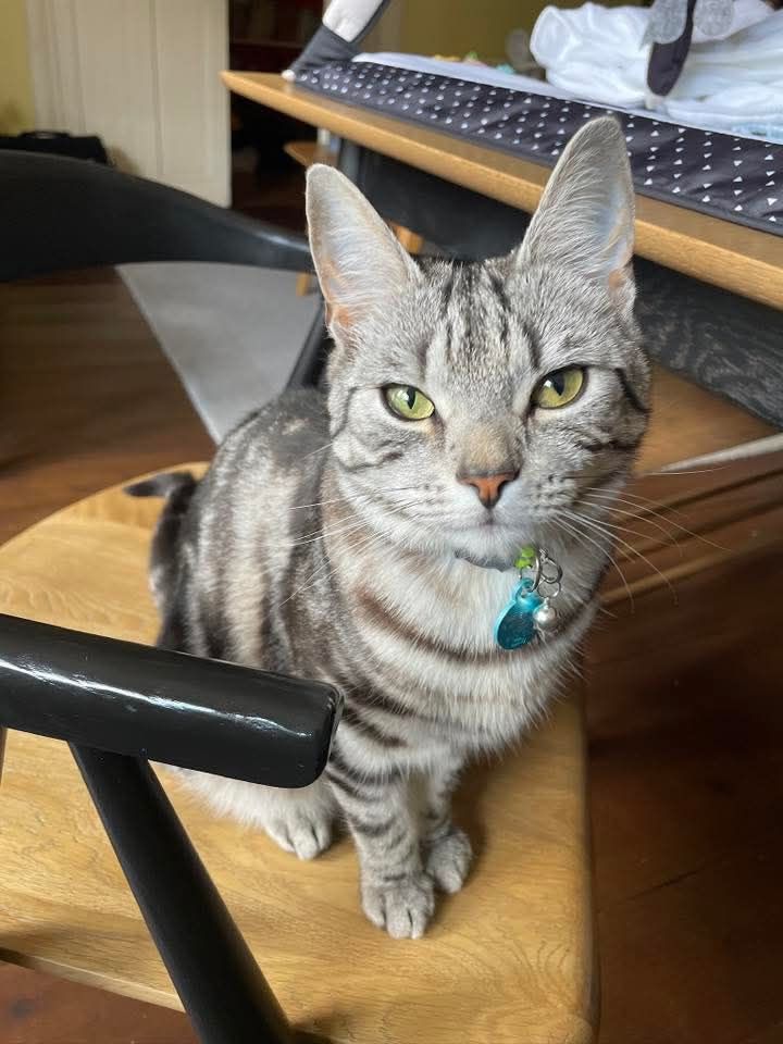 Nelson - Downlands Avenue, Worthing