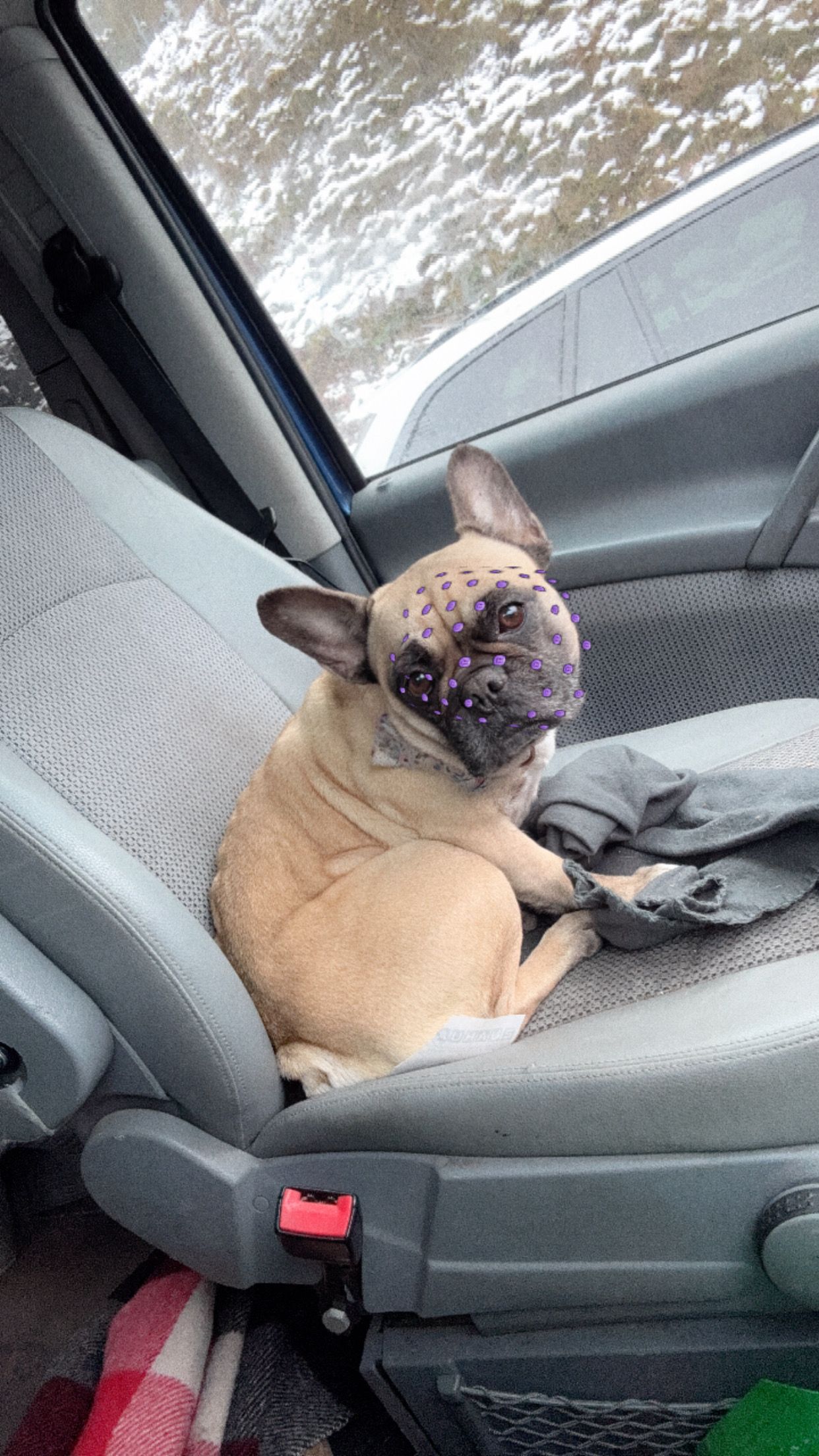 Bambola - Hochstedenstraße, Frechen