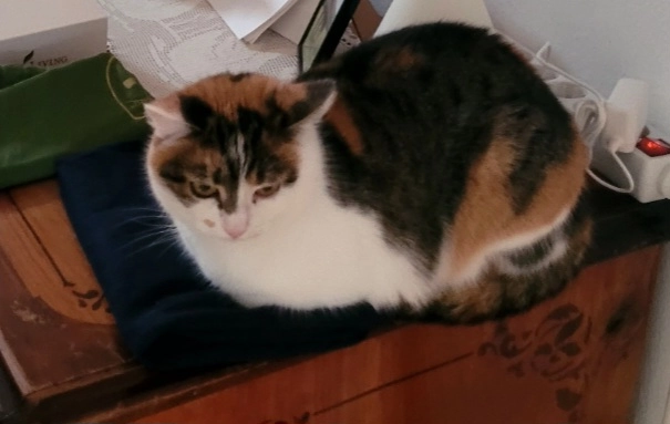 Minky - Hartweg, Gleisdorf