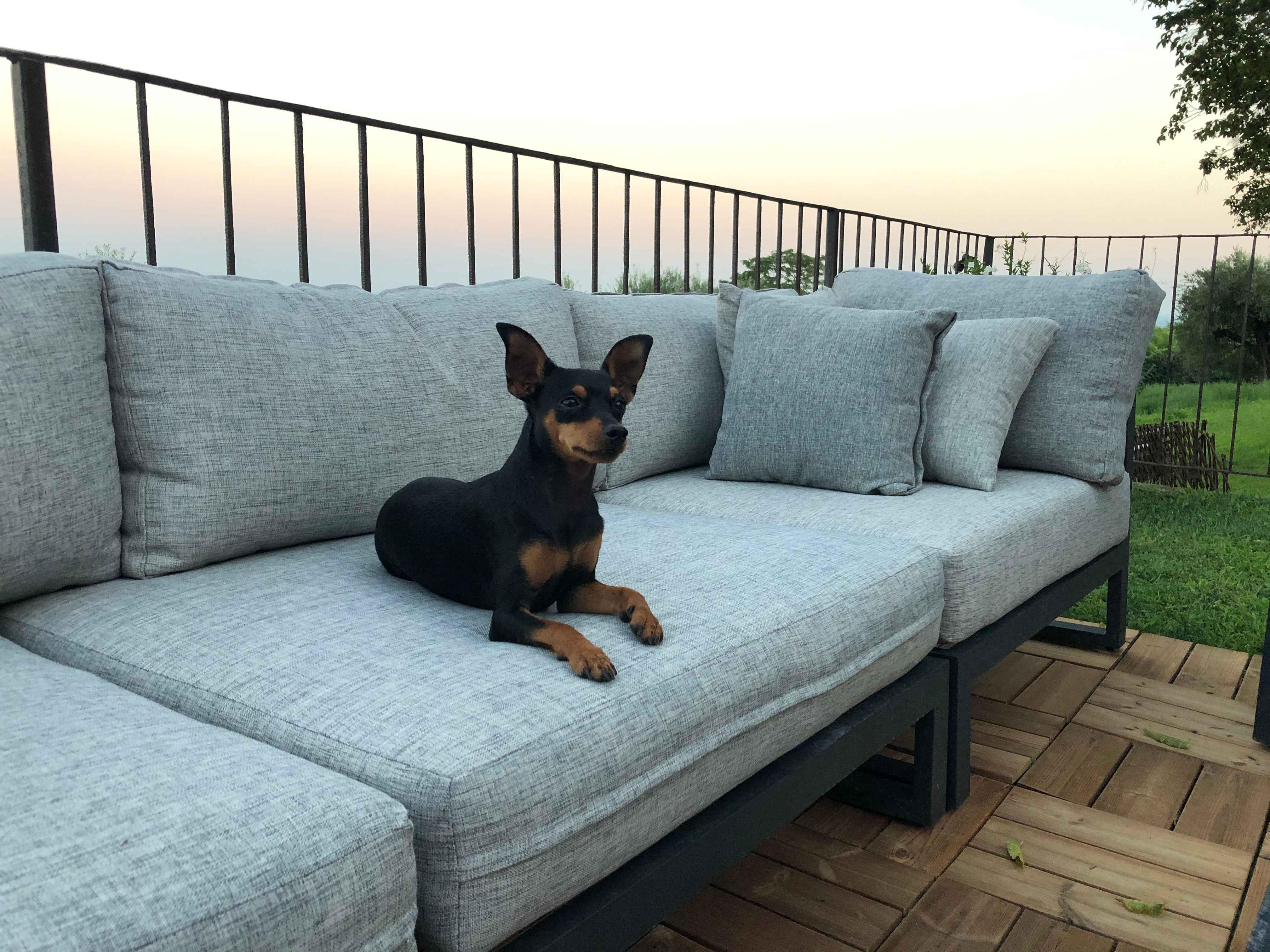 Tyson  - Nürnberger Straße, Heilbronn