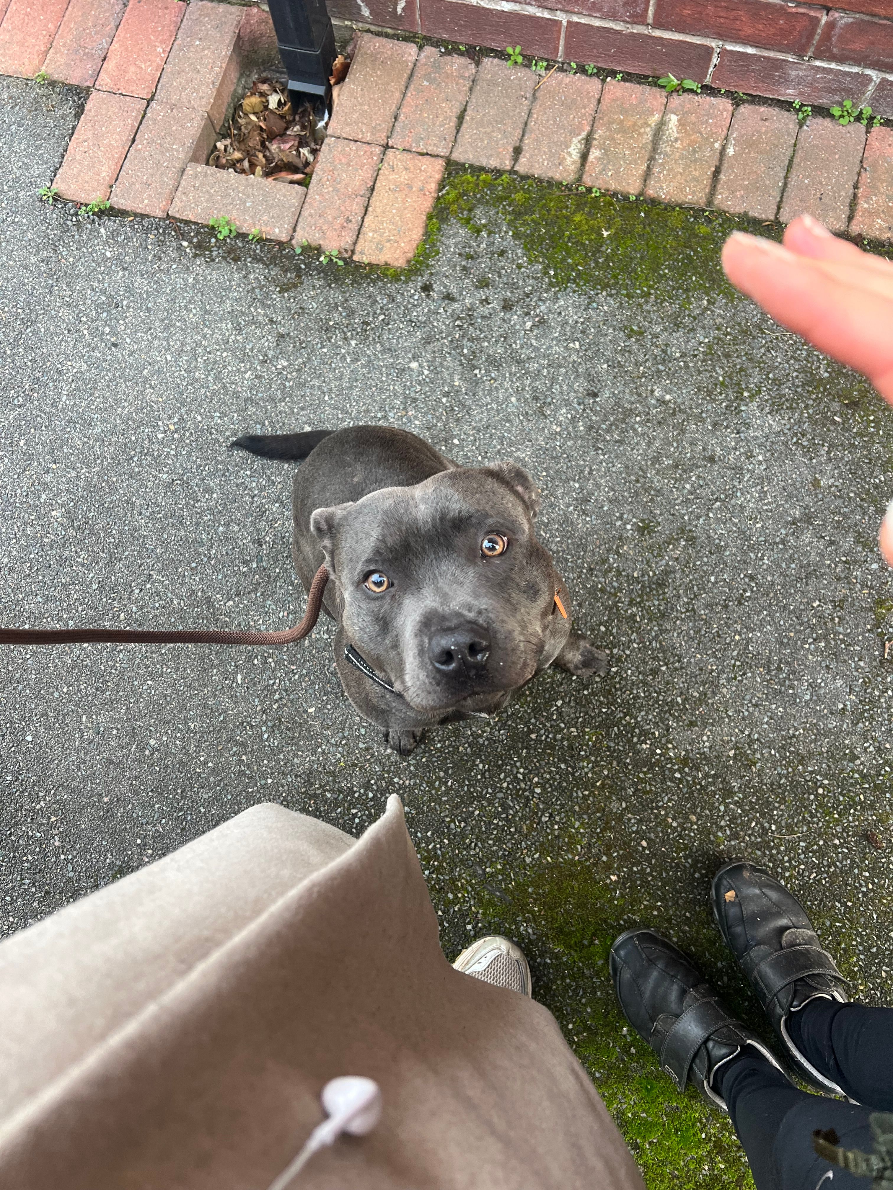 Frank - Grange Farm Crescent, Wirral