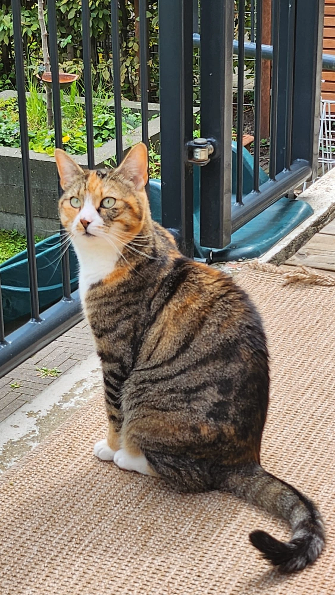 Sushi - Heemraadssingel, Rotterdam