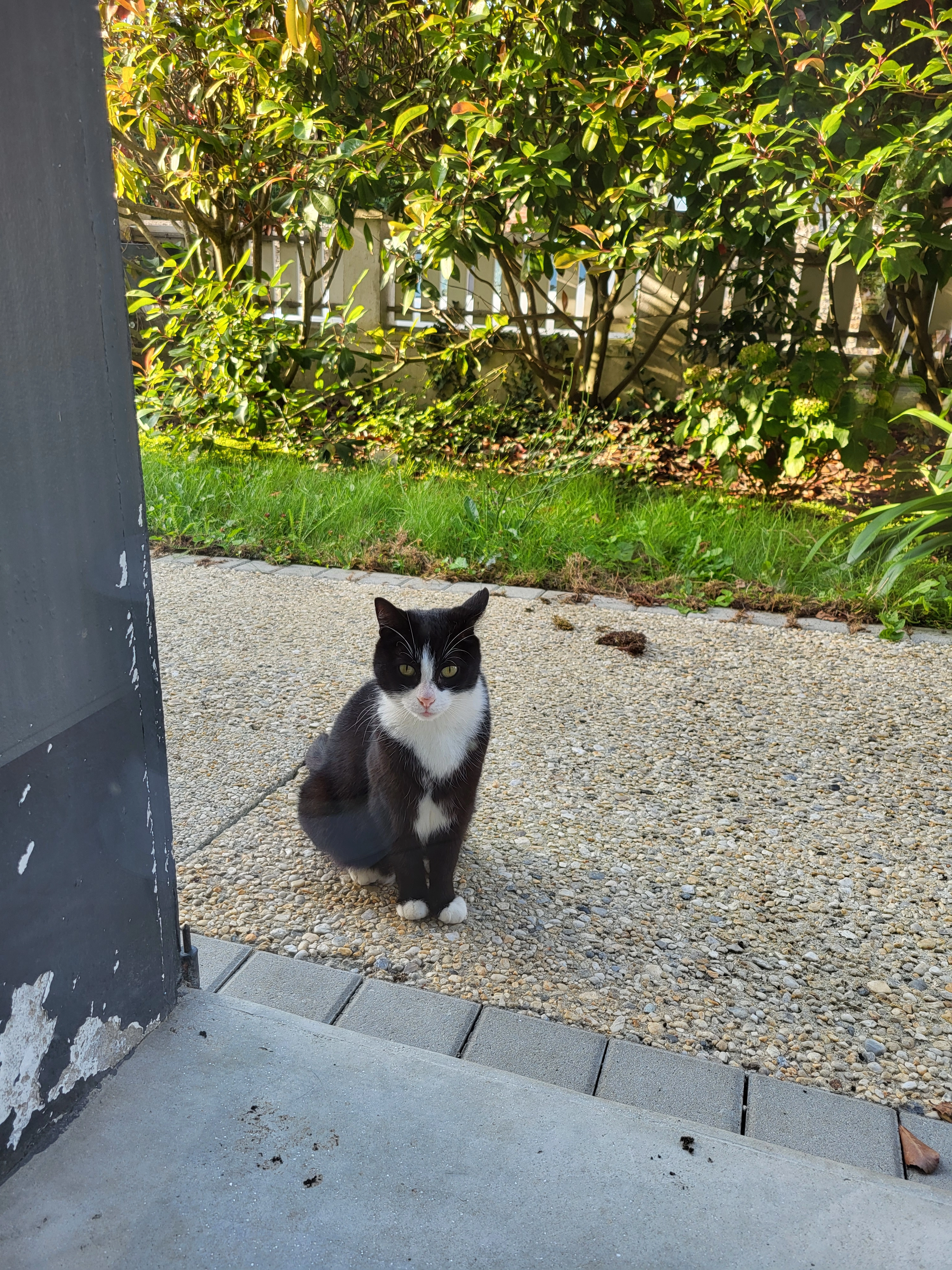 Rosalie  - Rue de Verdun, Saint-Malo