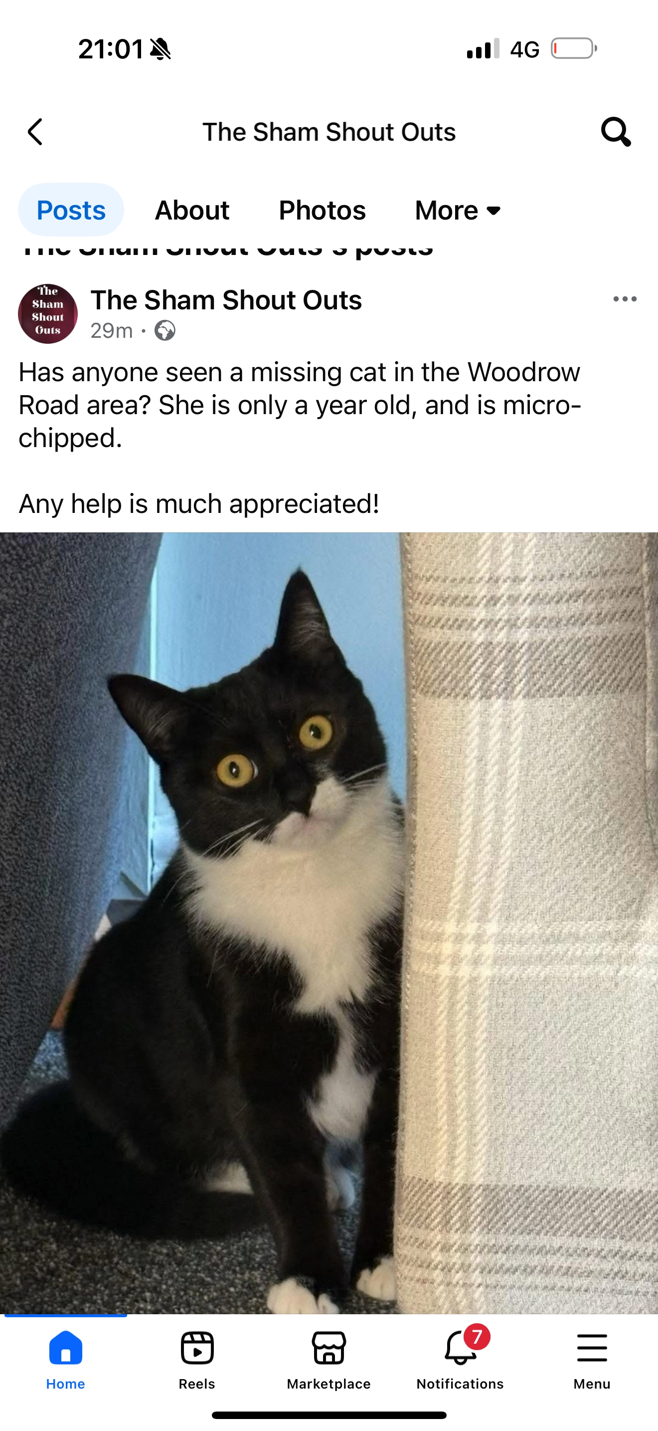 Ibou - 178 Woodrow Road, Melksham