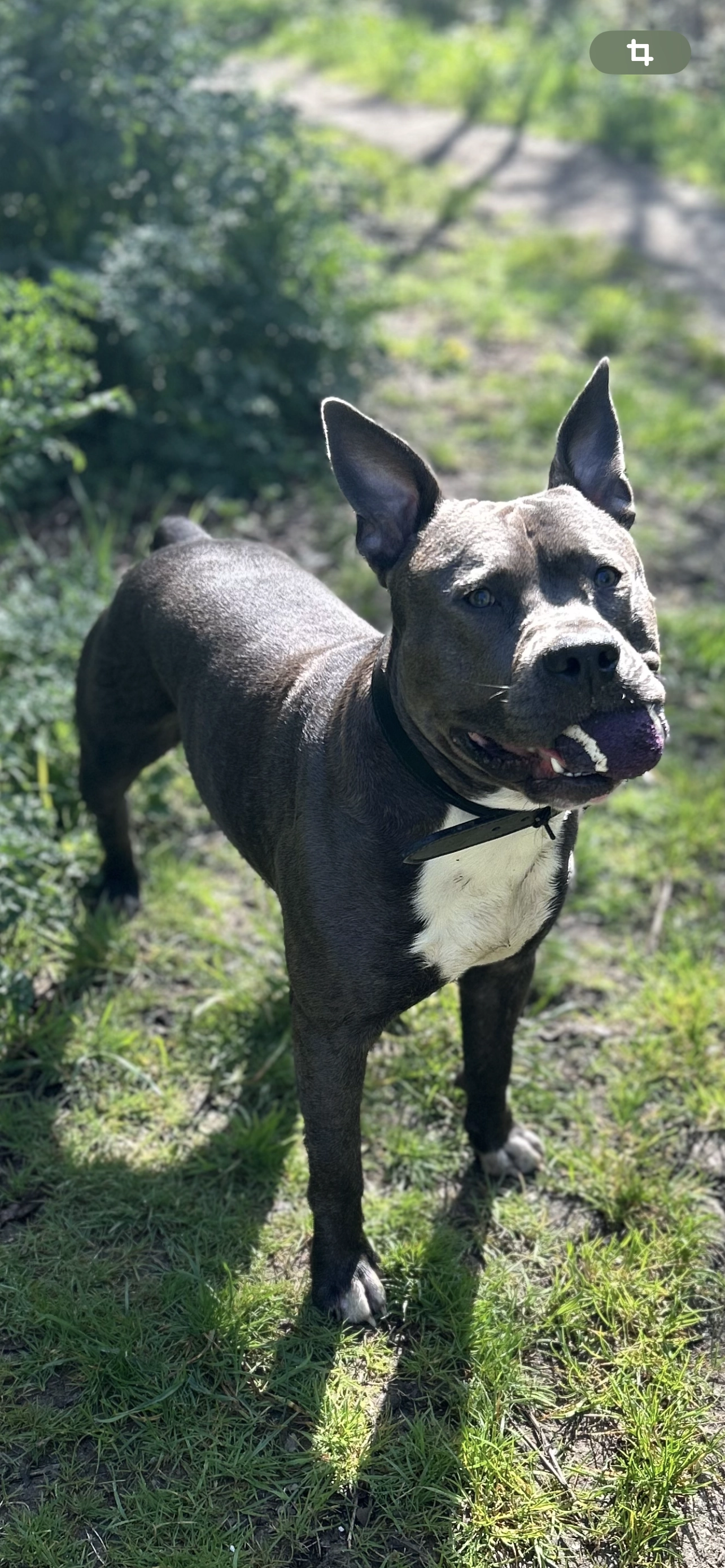 Vrac - Route De Larmor-Plage Au Pouldu, Guidel