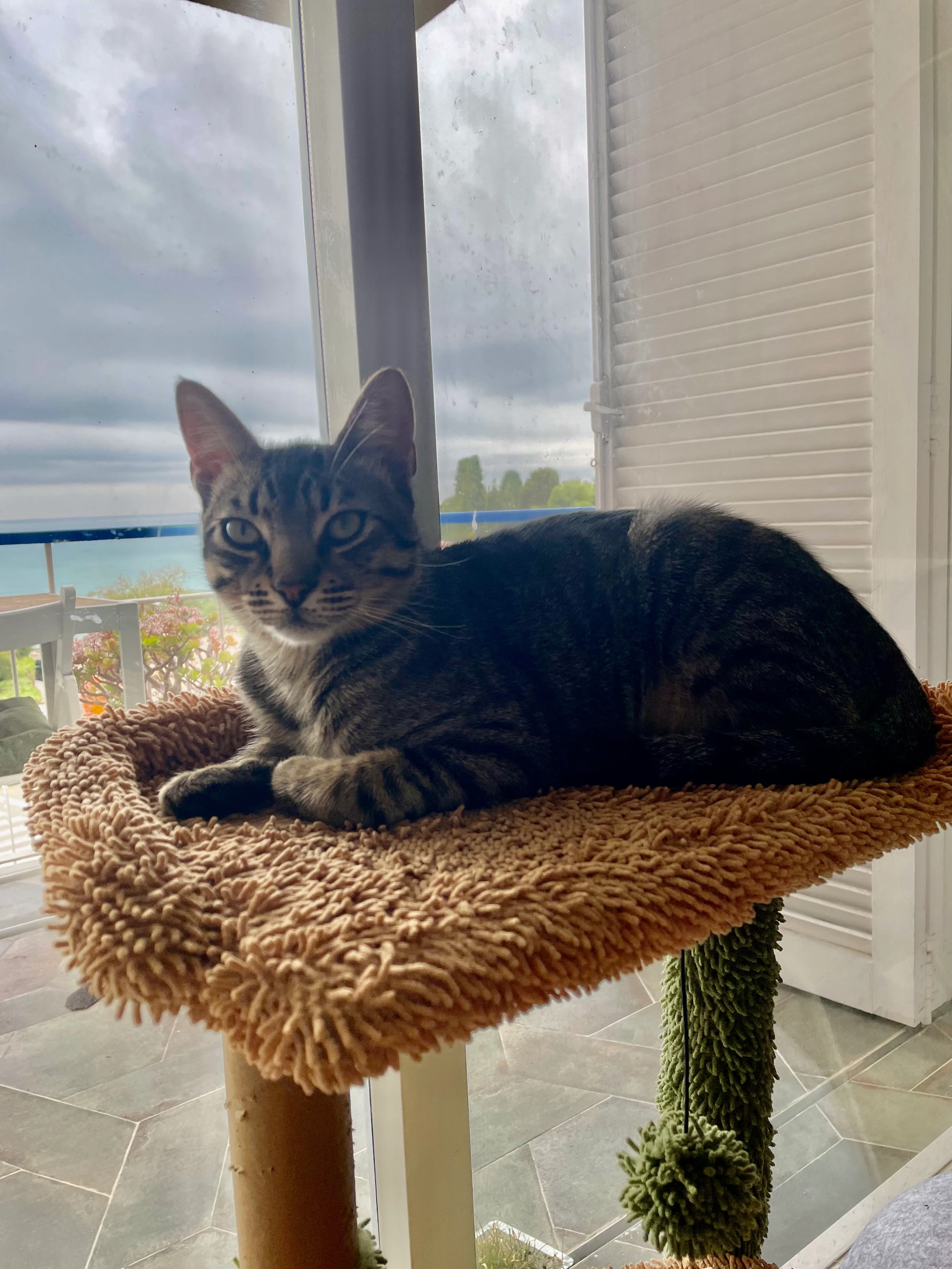 Pipo - Plaça Del Doctor Robert, Sitges