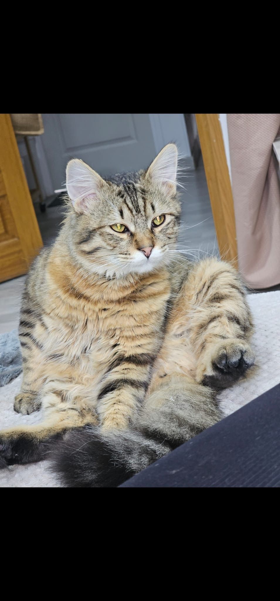 Léo  - 37 Avenue Jean Jaurès, Pont-Sainte-Maxence