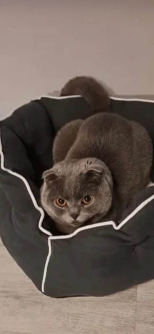 Minnos - Stadionlaan, Beringen