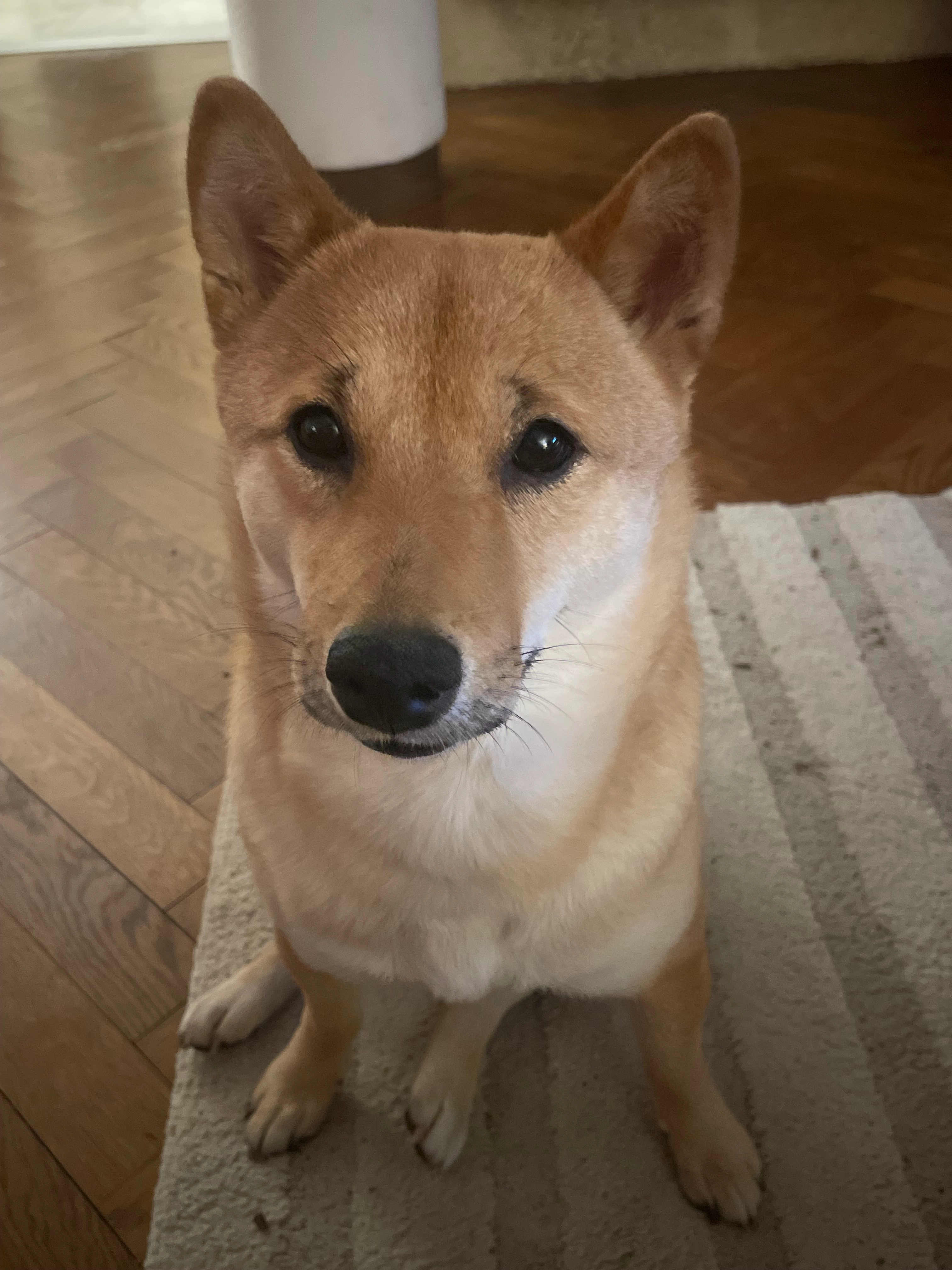 Aria - Route de la Fontaine, Fontaine-sous-Préaux