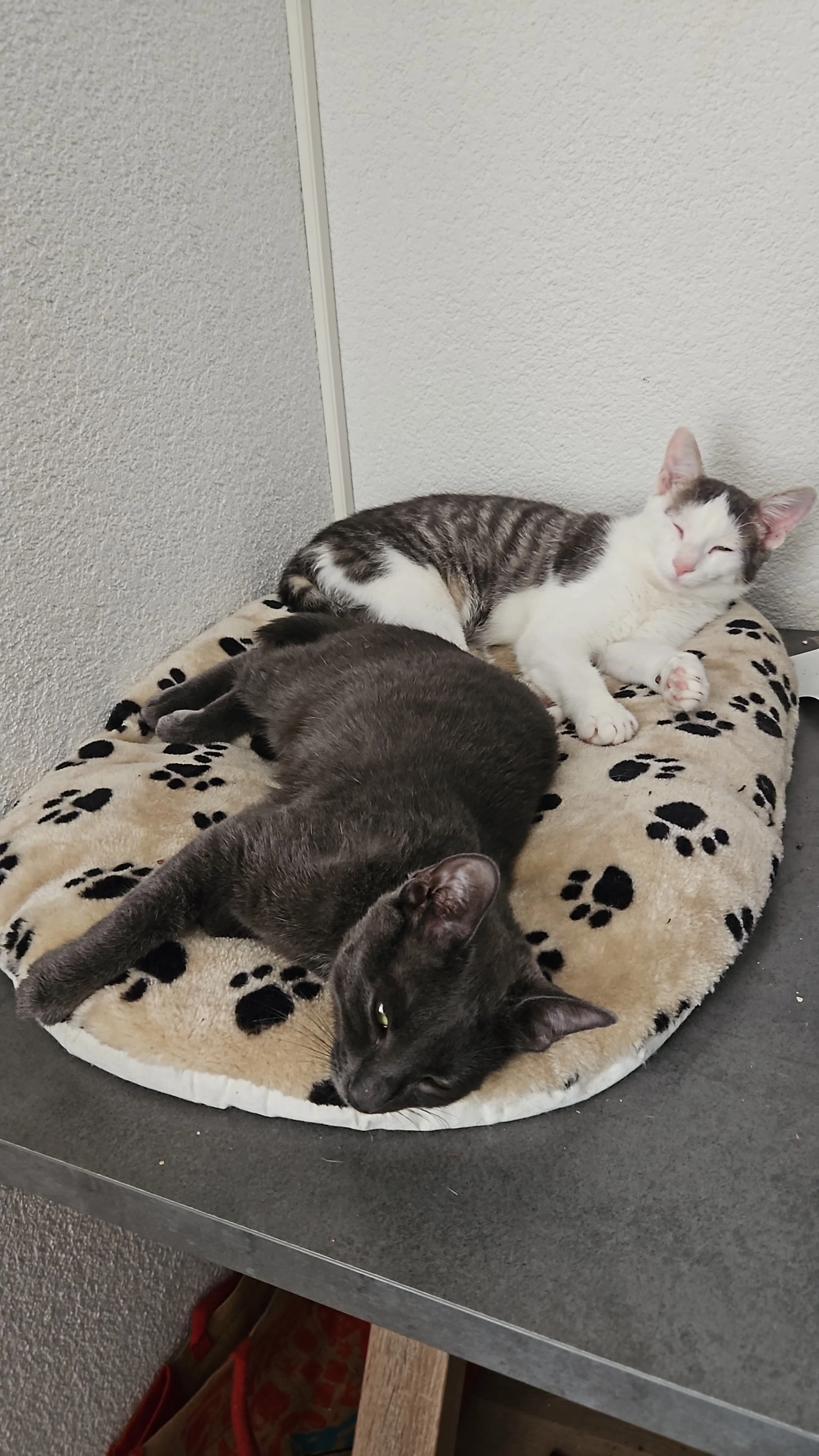 Nami - Hauptstrasse, Wilchingen