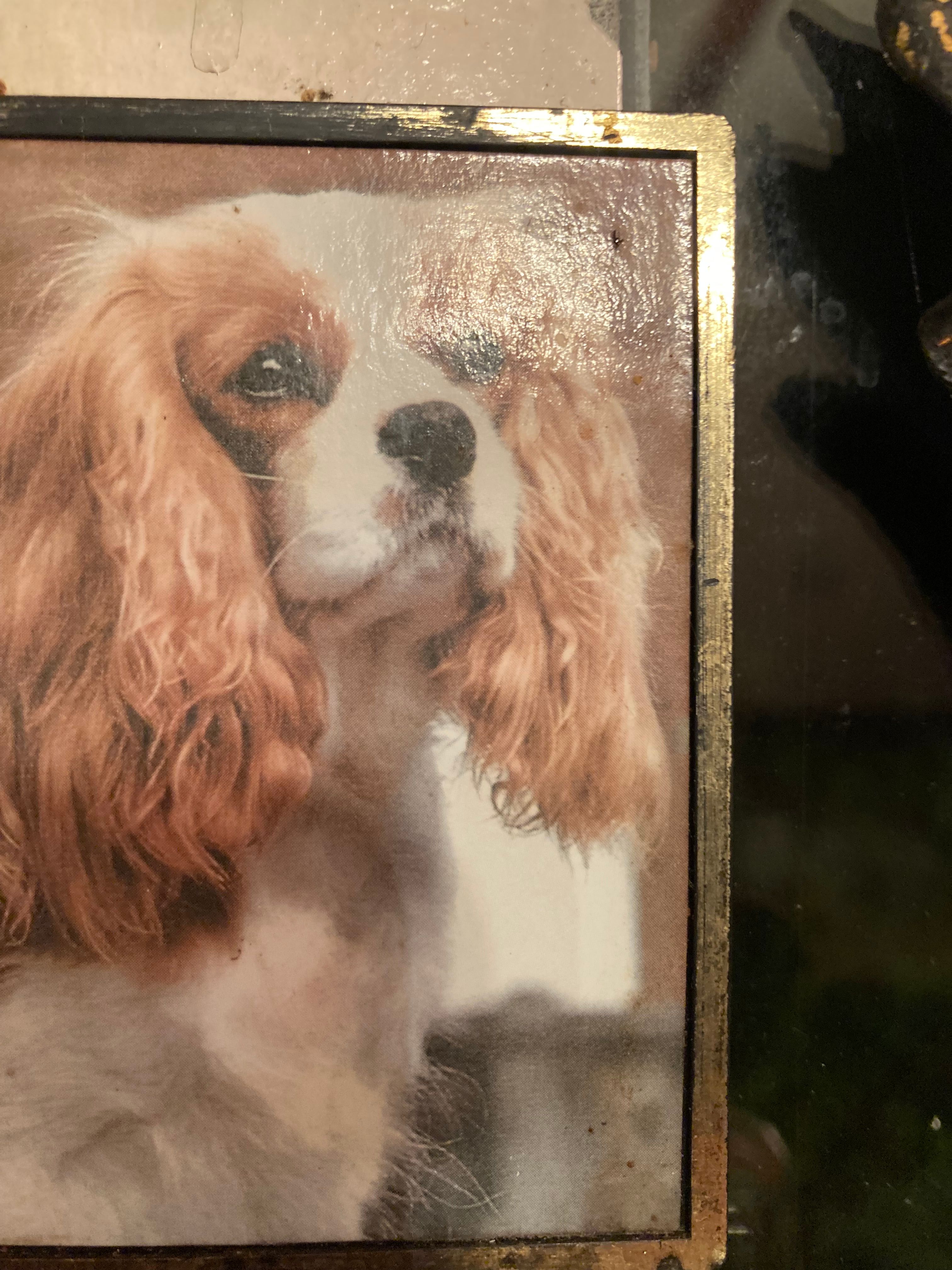 Gino - Portley Lane, Caterham